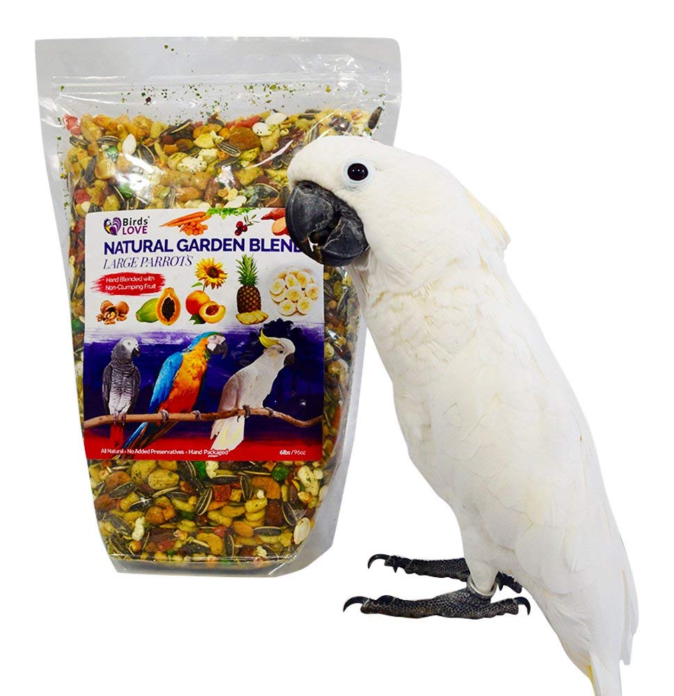 Birds LOVE All Natural Garden Blend Bird Food for Parrots 6lb