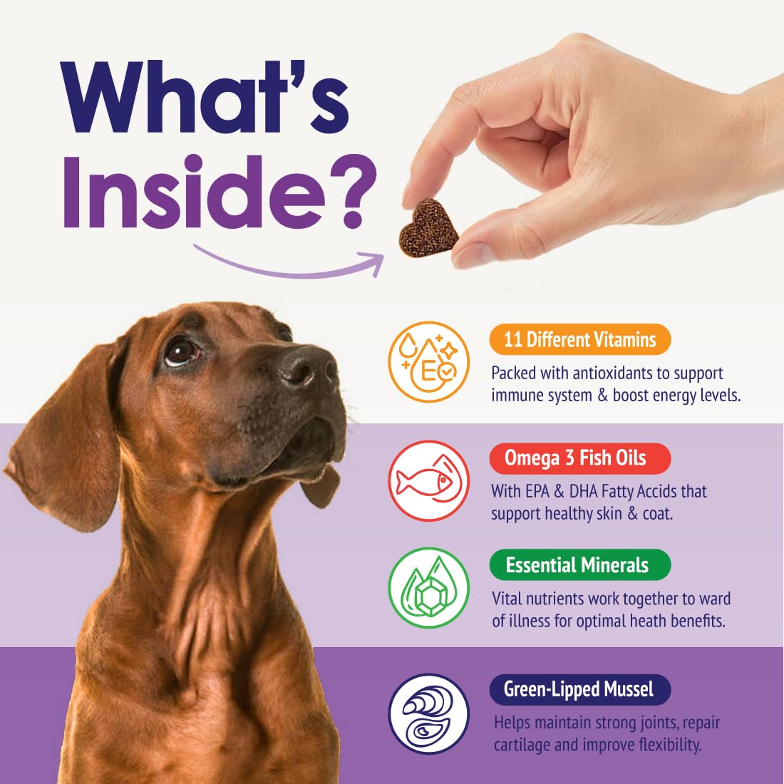 Dog Multivitamin Supplement, 22-in-1 Support for Immune System, Skin, Coat, Joints & Overall Health, Vitamins A, B, C, D, E, K,