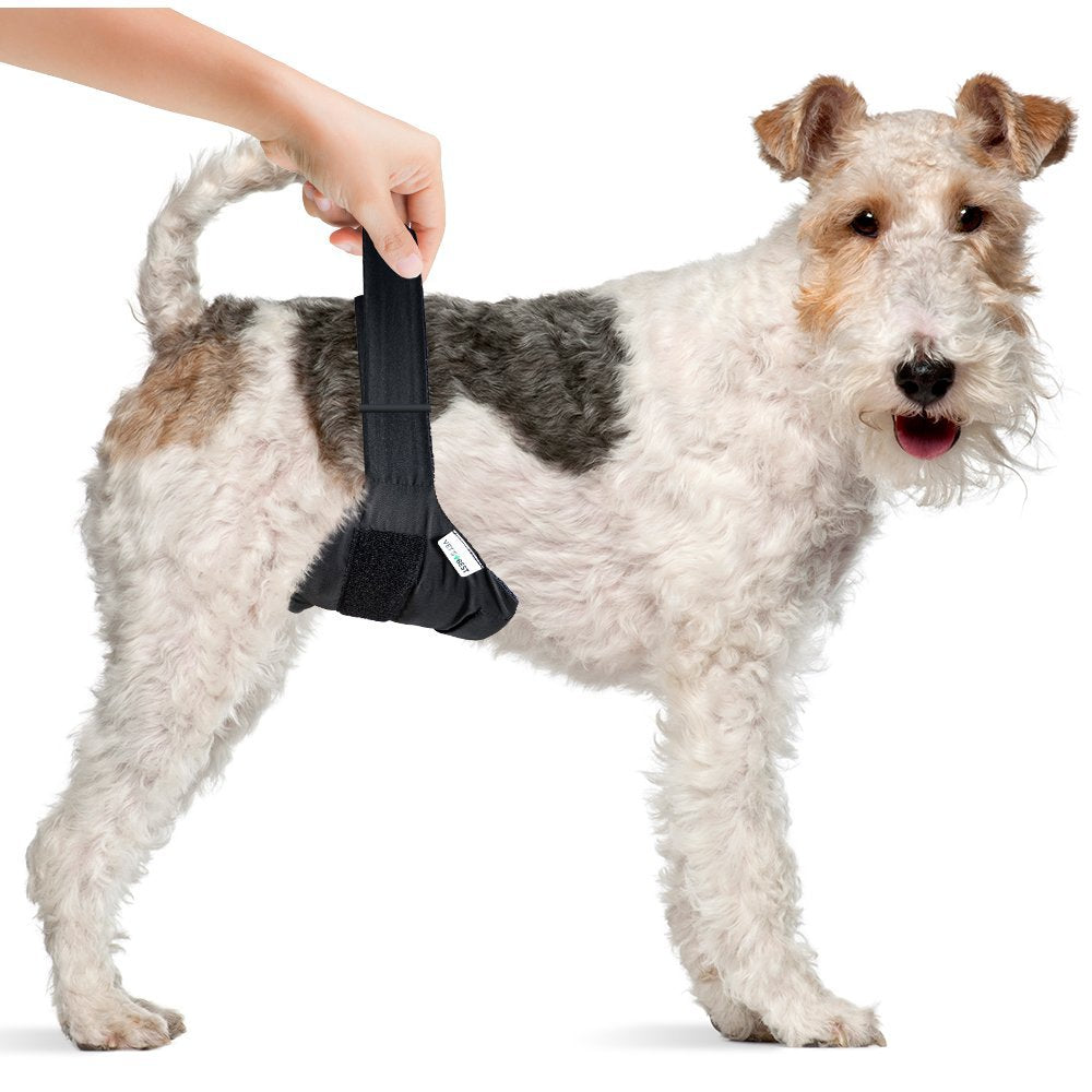 Vets Best Washable Male Dog Diapers | Absorbent Male Wraps with Leak Protection | Excitable Urination, Incontinence, or Male Ma
