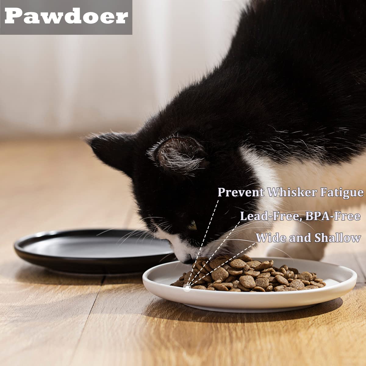 Pawdoer Ceramic Shallow Cat Dish 6 inch, Whisker Fatigue Free Cat Food Bowls, Wide and Small Pet Plate for Kitten and Kitty, Sho