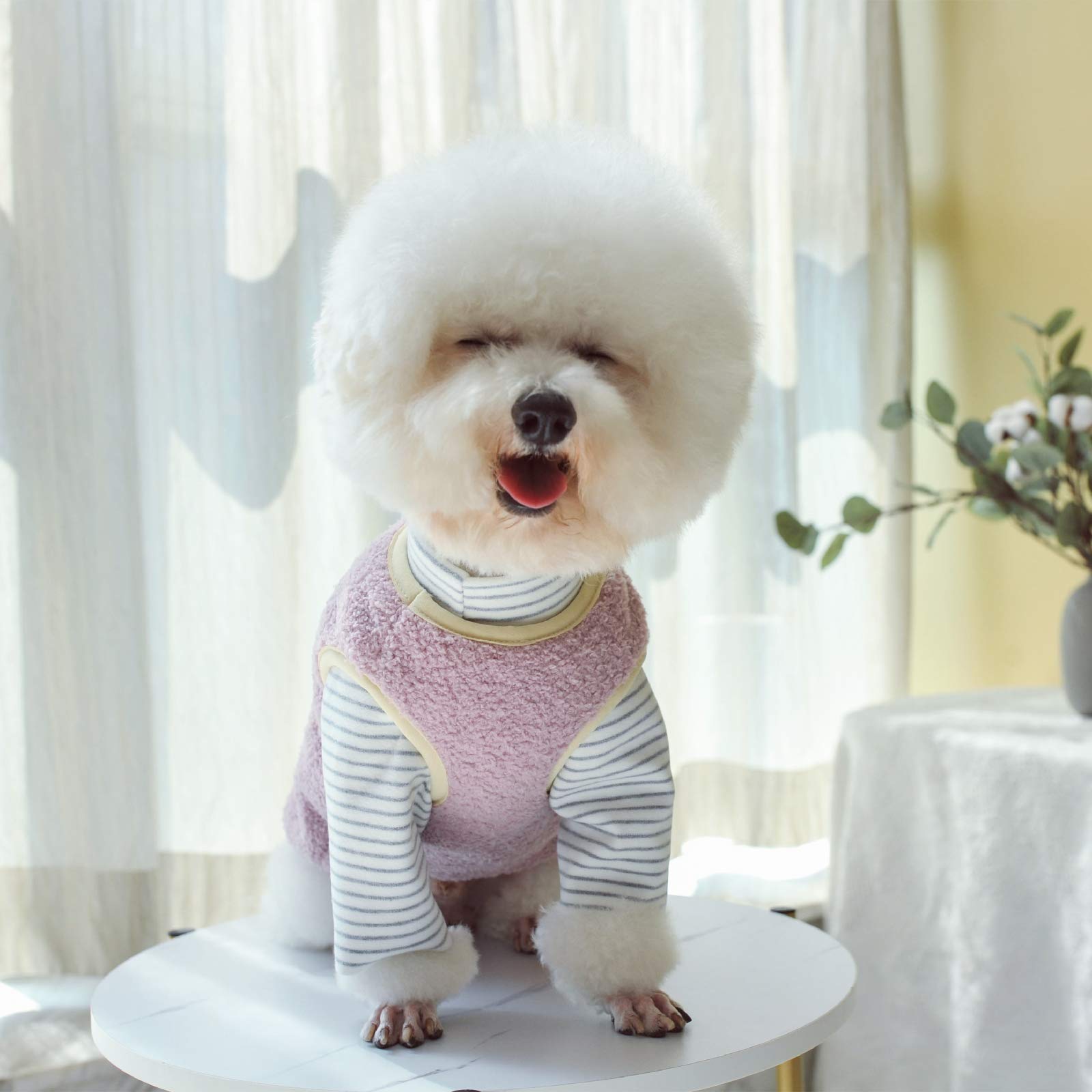 Loyanyy Warm Plush Dog Vest For Winter Soft Fleece Lining Sweater For Small Dog Cat Cute Puppy Kitten Clothes Purple 12