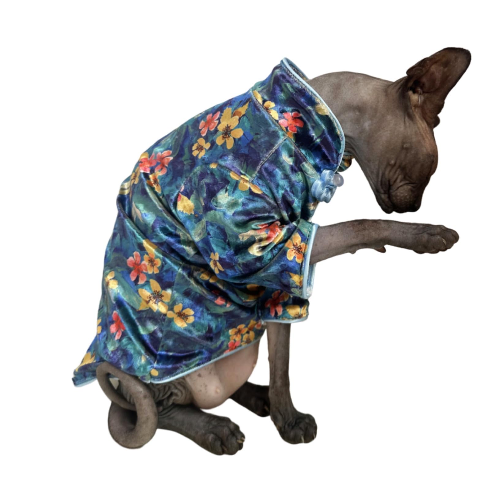 Traditional Culture Sphynx Hairless Cat Cotton T-Shirts Clothes Pet Sweater Cat Vest Pet Clothes Kitten Shirts Small Dogs Appare