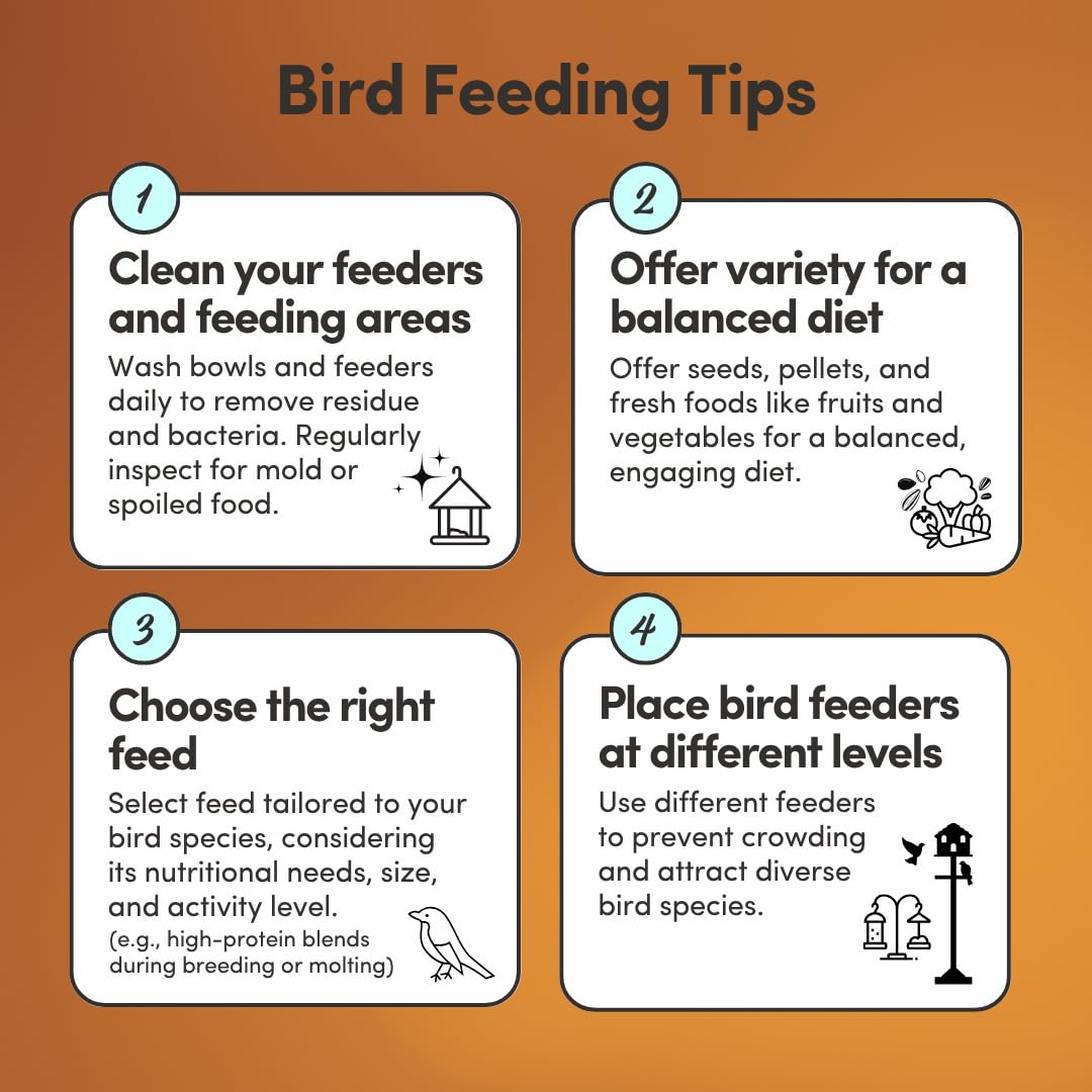 Mycelium Organic Rooster Plus Feed (5 LB Bag) | High-Protein Chicken Feed with Vitamin Support for Strength, Stamina & Gut Healt