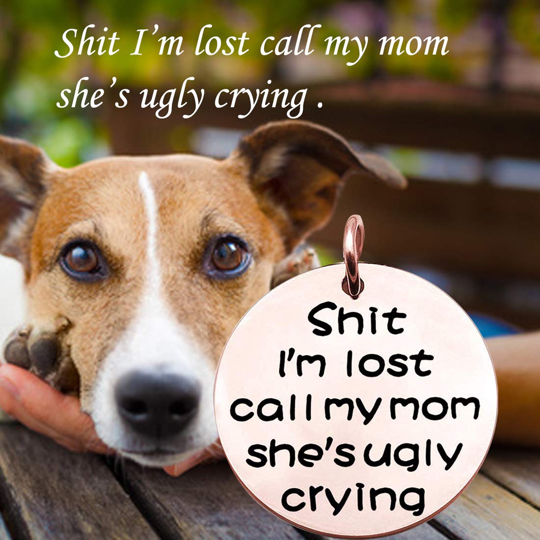 Zuo Bao Funny Dog Cat Pet Id Tag Shit I'M Lost Call My Mom She'S Ugly Crying Stainless Steel Pet Tags (Pet Id Tag Rg)
