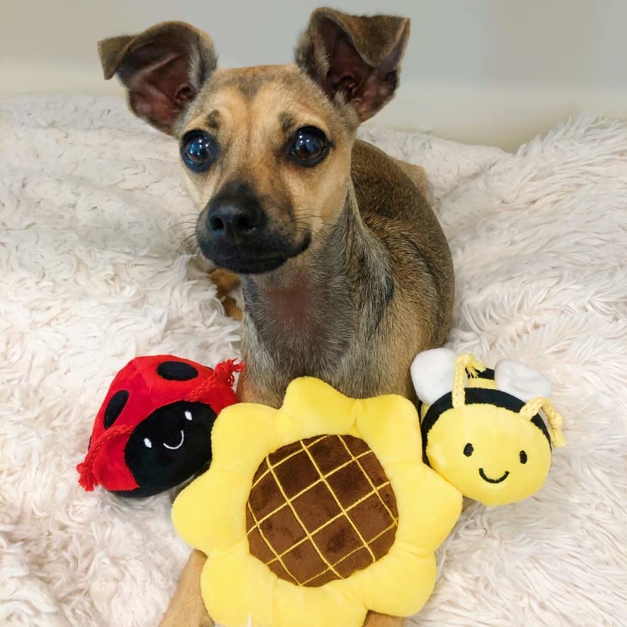 Tonbo Springtime Combo - Crinkle Plush Cute Dog Toys, Sunflower, Bumblebee, Ladybug