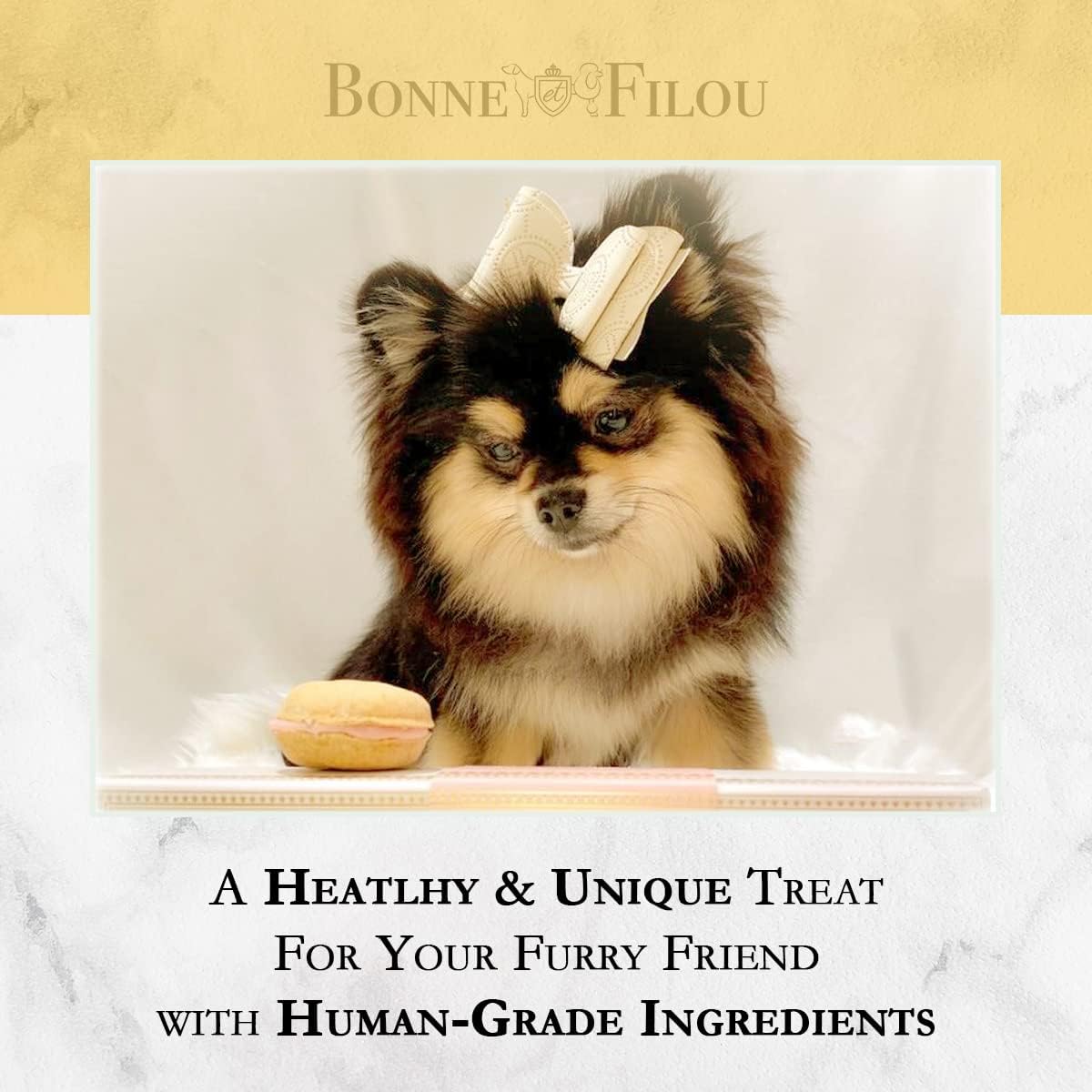 Bonne et Filou Dog Treats Cheese Cupcakes, Dog Birthday Gift for Medium to Large Breed - Gourmet Macaron Cakes, Healthy & Delici