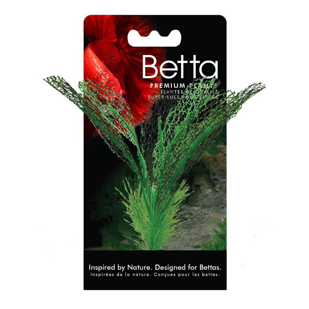 Fluval Betta Madagascar Lace Plant, Plastic Plant Aquarium Decoration