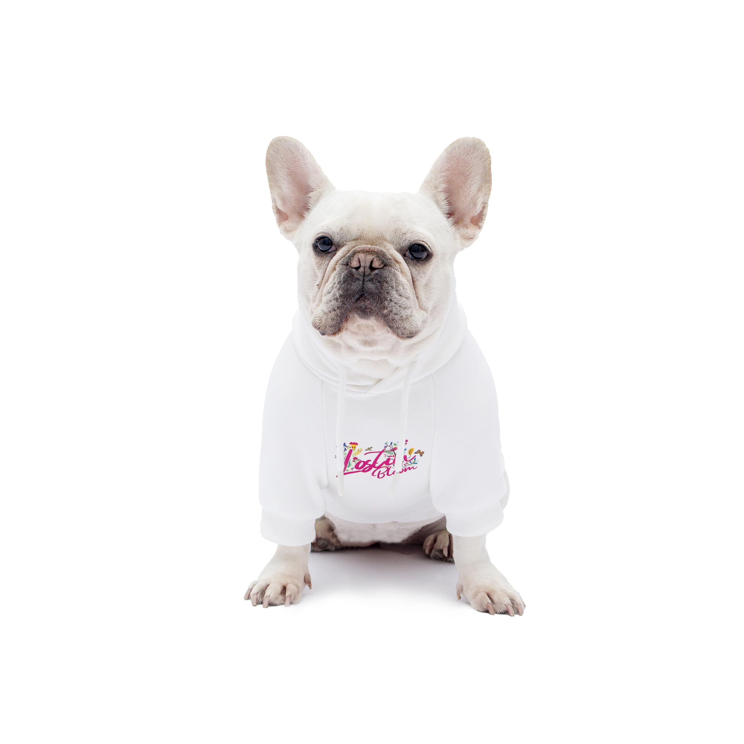Blooming Teddy Dog Hoodie Dog Clothes Extra Warm Fleece Lining Stretchy Fit for Small Dogs (White, Medium)
