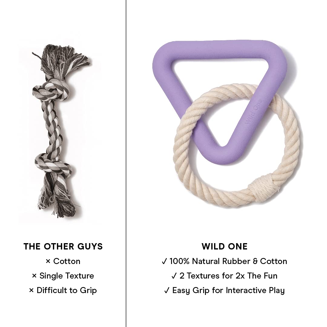 Wild One Triangle Tug Dog Toy For Small Breeds, Rope Toy, Durable Lilac