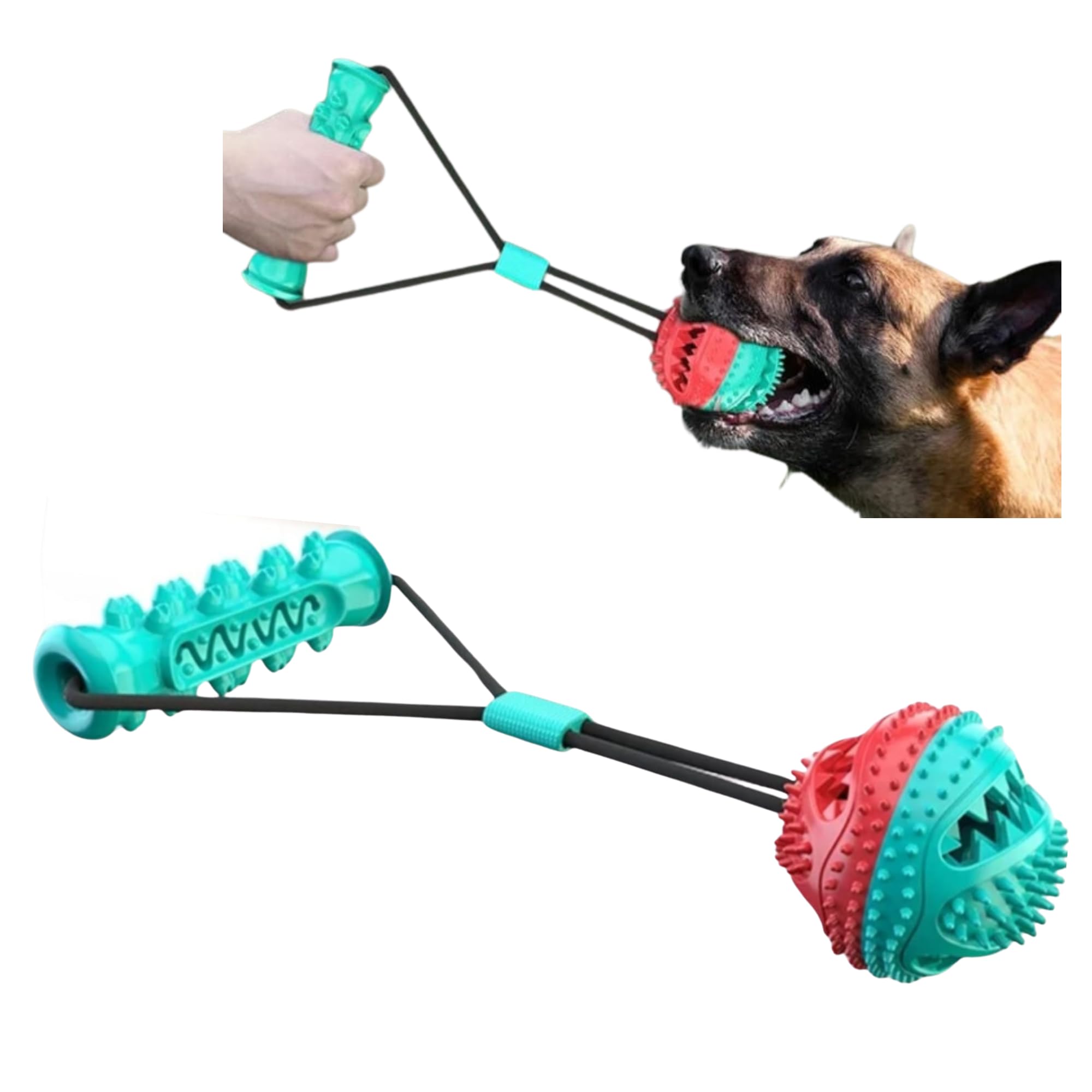 Dog Ball with Rope - Durable TPR Chew Toy for Tug, Fetch & Dental Cleaning - Treat Dispensing Interactive Toy for Small, Medium 