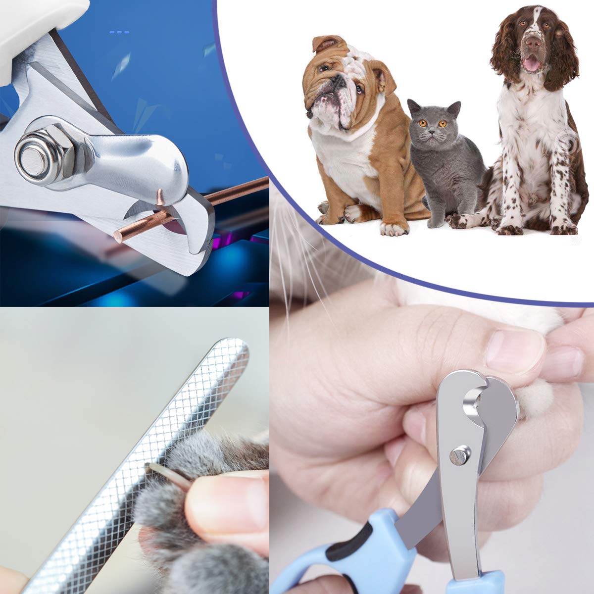 Ldjzon Pet Nail Clippers And Trimmers Set Safety Guard To Avoid Over Cutting Razor Sharp Blades Grooming Tool For All Small Large Dog Cat Blue