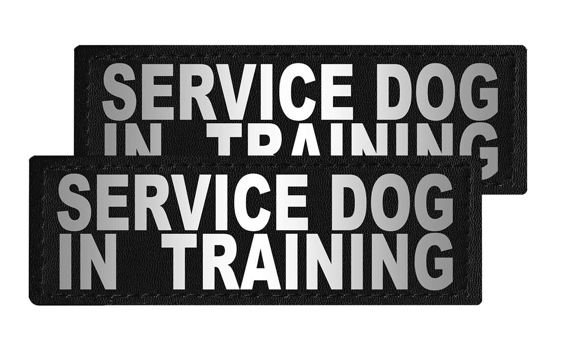 Dogline Removable Interchangeable Service Dog In Training Patches - For Vests, Harnesses, Collars. Unimax, Alpha, Maxaire, Omega