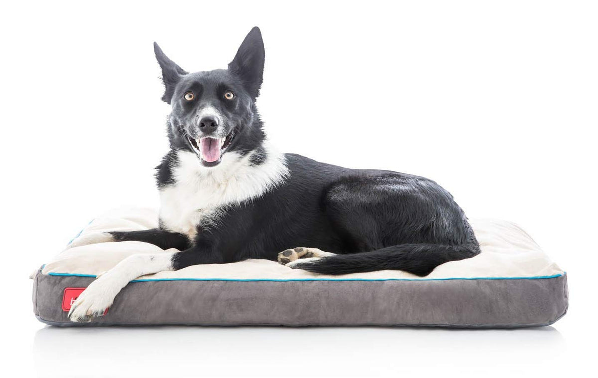 Brindle Shredded Memory Foam Dog Bed With Removable Washable Cover-Plush Orthopedic Pet Bed - 34 X 22 Inches - Khaki