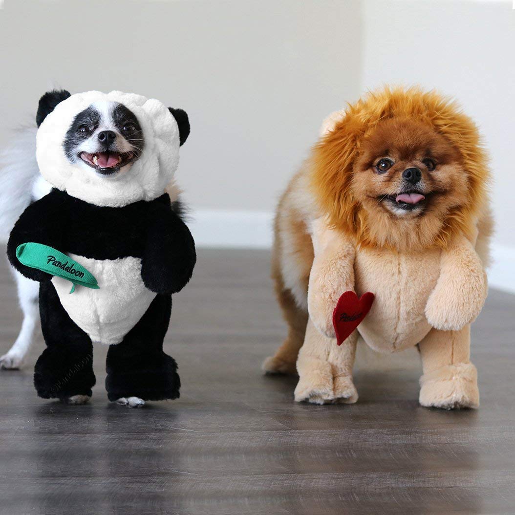 Pandaloon Panda Puppy Dog Pet Costume (Size 1 (13-14.5 In Total Height), Panda)