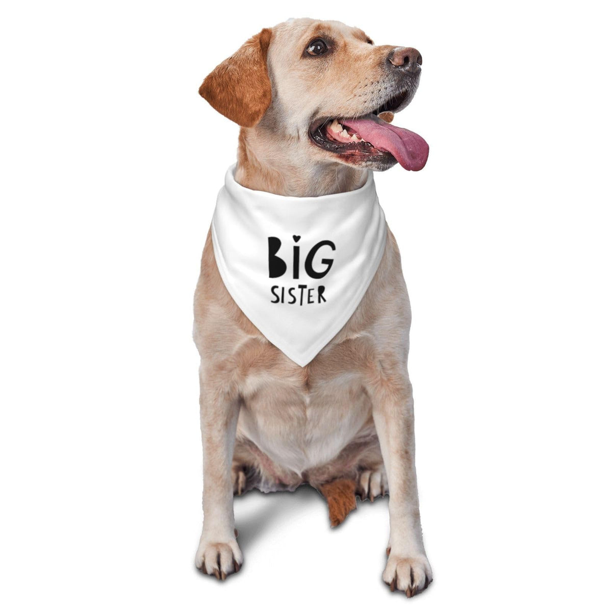 Vercosee Big Sister Dog Bandana,Baby Announcement Dog Bandana,Gender Reveal,Pet Scarf, Pet Accessories For Photo Props Accessori