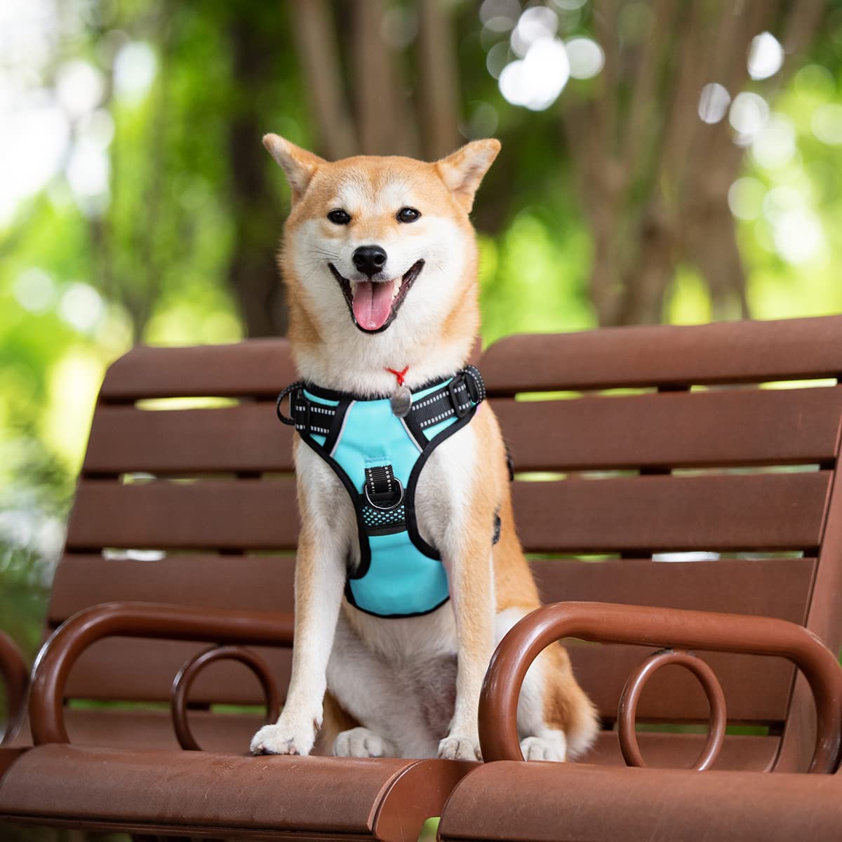 Poypet No Pull Dog Harness With 4 Snap Buckles, Reflective With Front & Back 2 Leash Hooks And An Easy Control Handle [No Need Go Over Dog’S Head](Mint Blue,M)