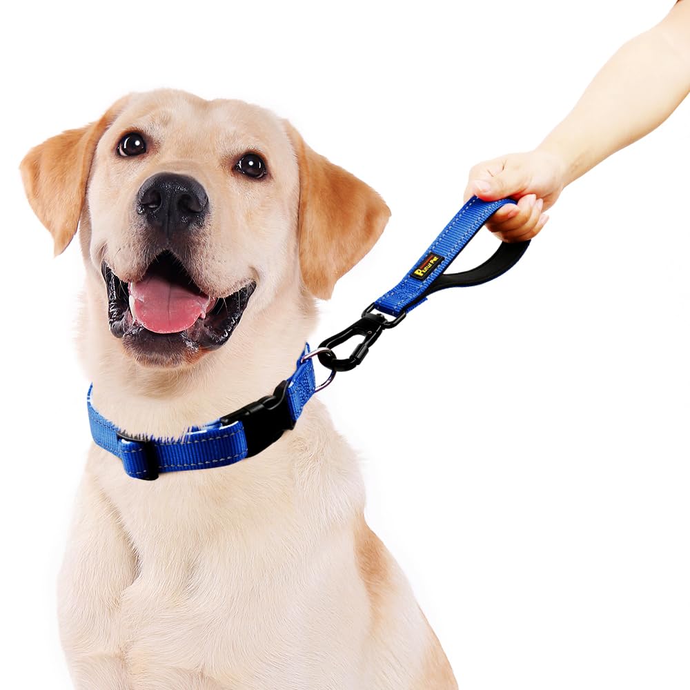 Plutus Pet Short Dog Leash, Reflective Nylon Padded Handle, Strong Traffic Leash With Carabiner Clip, Perfect For Large Or Mediu