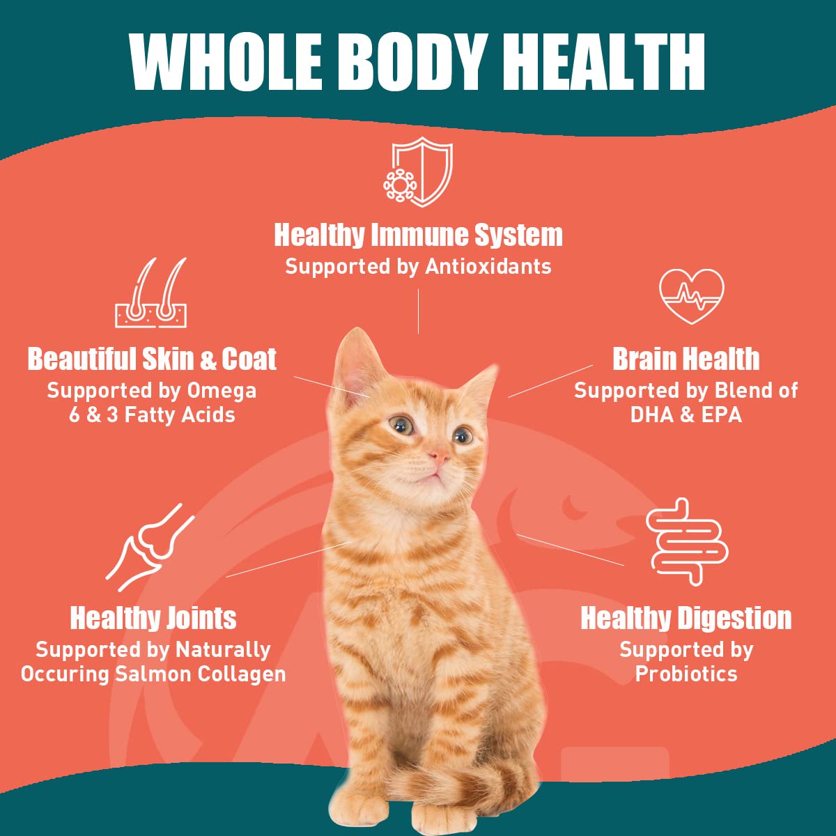 Alaskan Gold Freeze-Dried Raw Cat Food, High-Protein & Grain-Free, 10 lbs, for Kittens & Adults, Omega Fish Oil, Allergy Support