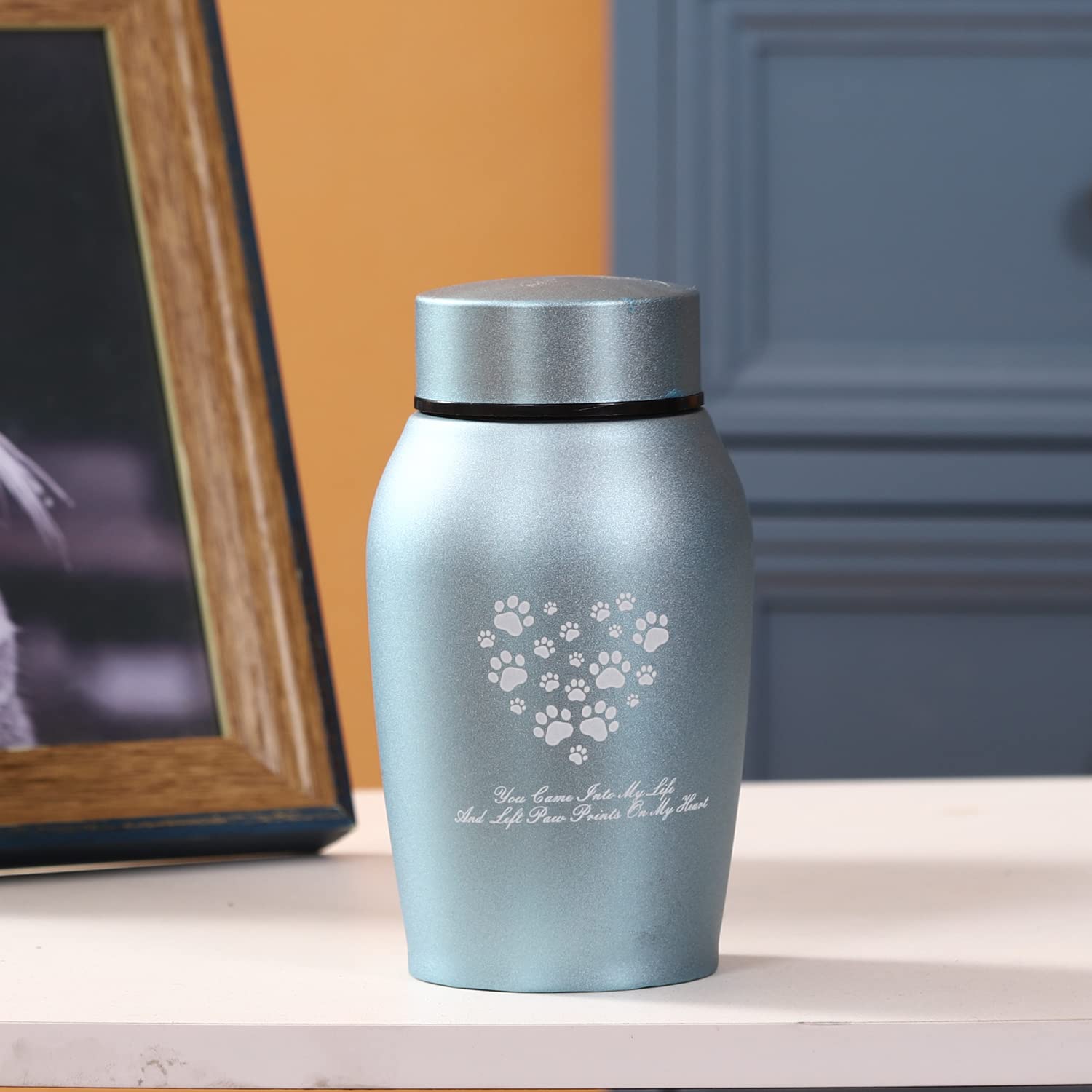 Youdear Memorials Stainless Steel Pet Urns,Premium Urns For Dog And Cat Ashes,Suitable Size Urns For Pet Ashes (Small, Blue)