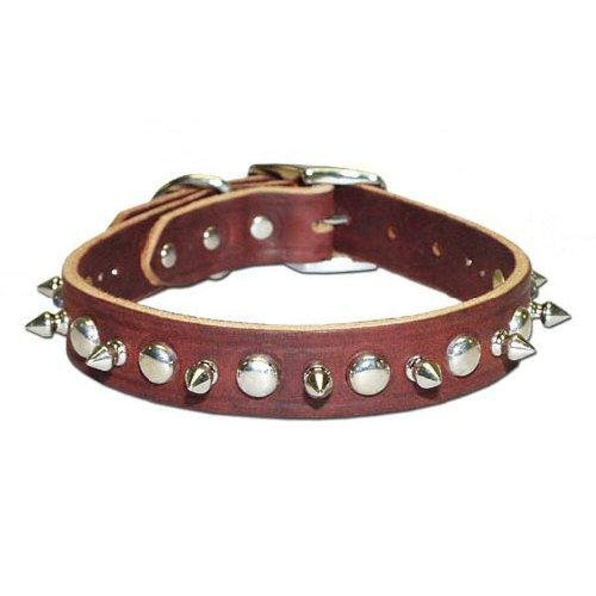 Omnipet Leather Brothers 38Lks-Bu14 3/8 X 14-Inch Regular Spiked And Studded Latigo Leather Dog Collar, Medium, Burgundy