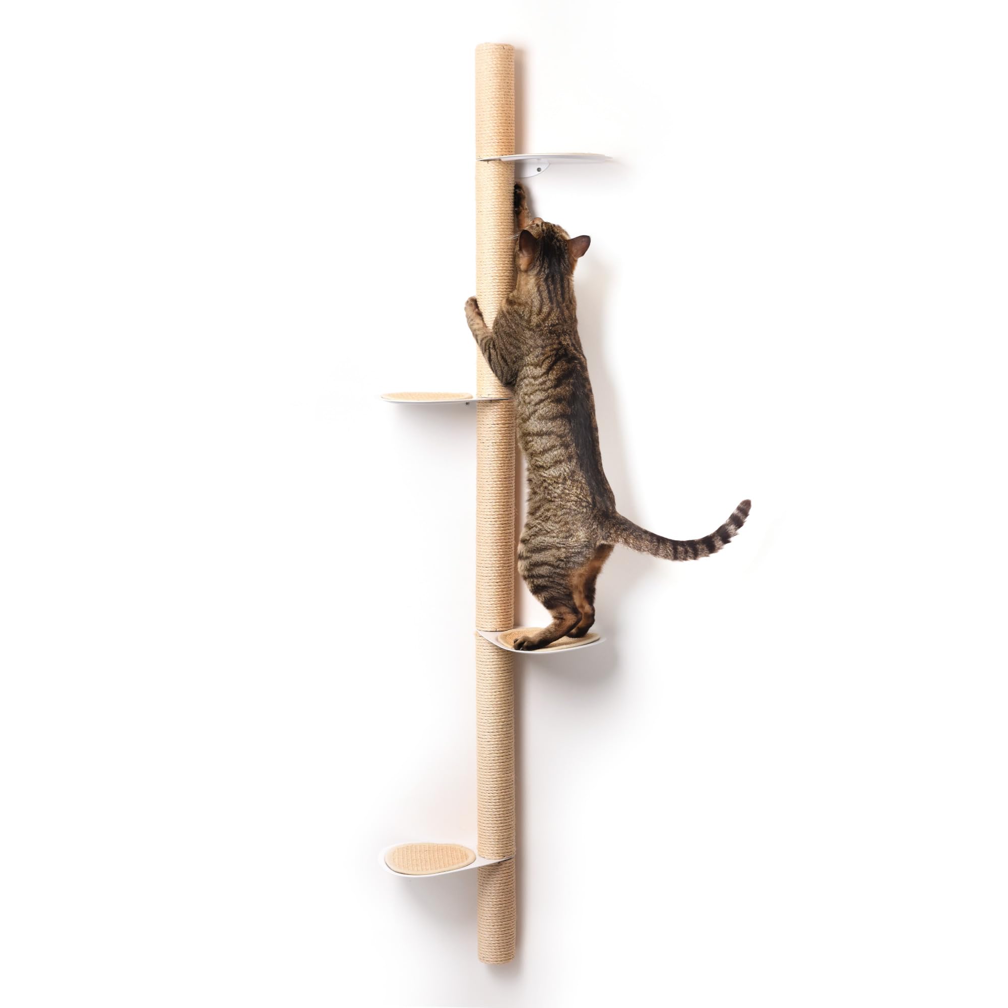 Xympo 68 Tall Wall-Mounted Cat Tree - Modern Space-Saving Cat Shelf With Sisal Scratching Post & Steel Climbing Steps - Stylis