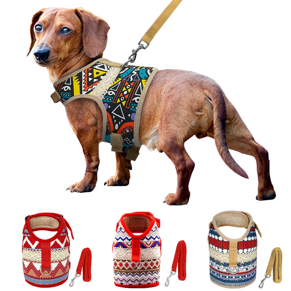 Muttitude Dog Harness & Leash Set For Small Breeds (Medium, Pueblo)