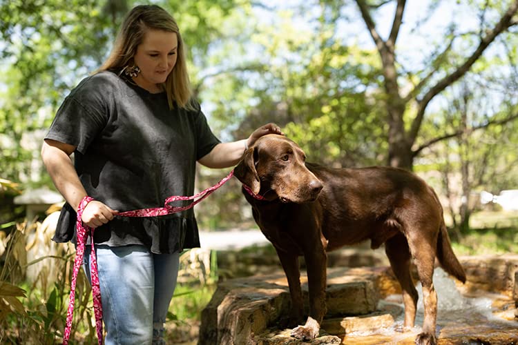 Country Brook Petz - Pink Bone Camo Deluxe Dog Collar - Made In The U.S.A. - Camouflage Collection Featuring Rugged Designs (1/2