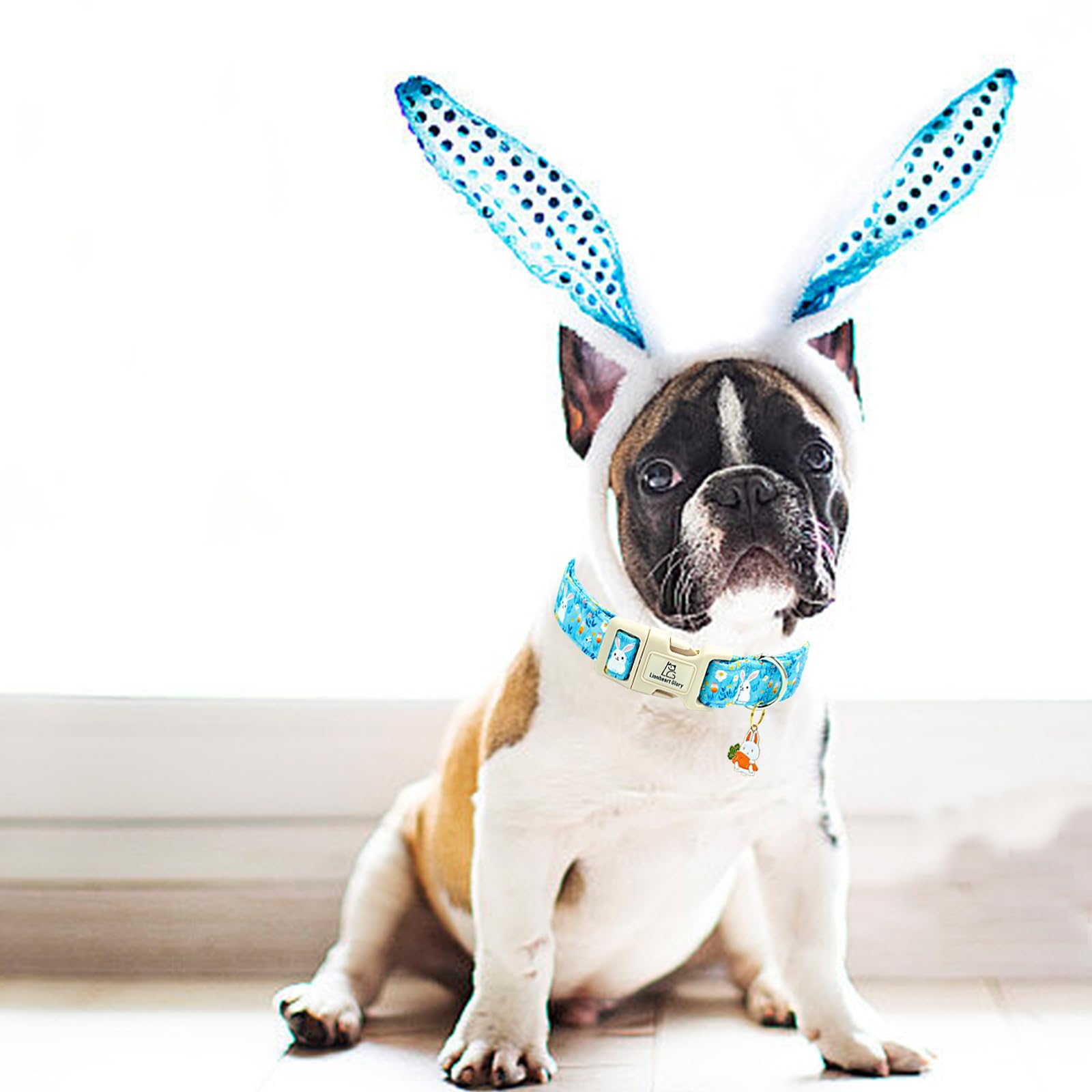 Lionheart Glory Easter Dog Collar-Cute Easter Rabbit Bunnies Eggs Dog Collars Female Male Dog Collar Adjustable Durable Soft Col
