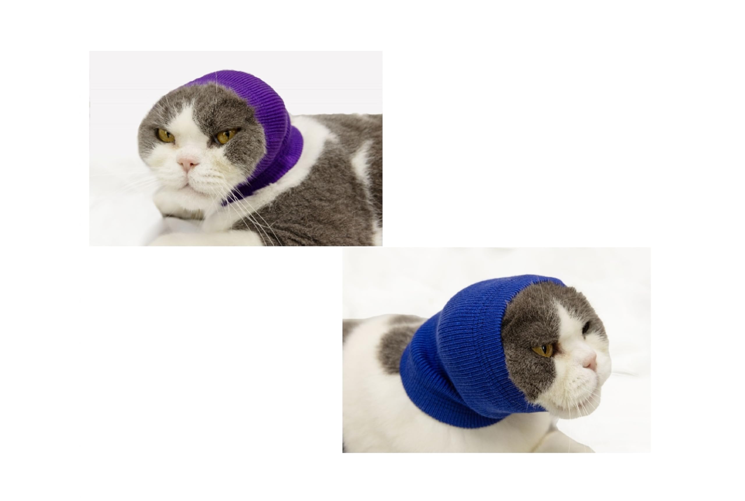 Ddfs Cat Head Cover Ear Wrap Pinpoint Mesh Neck Cowl Cat Grooming Headband Snood For Cat Purple+Blue S