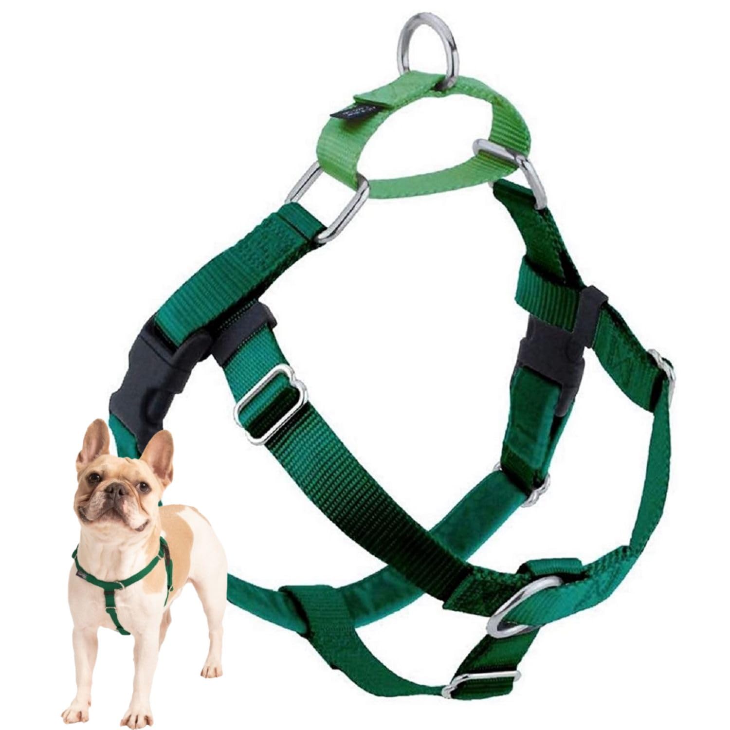 2 Hounds Design Freedom No Pull Dog Harness, Adjustable Harness, Easy Walking & Comfortable Control, Fits Small, Medium & Large Dogs, Solid Colors, Made In Usa, 1' Md, Kelly Green