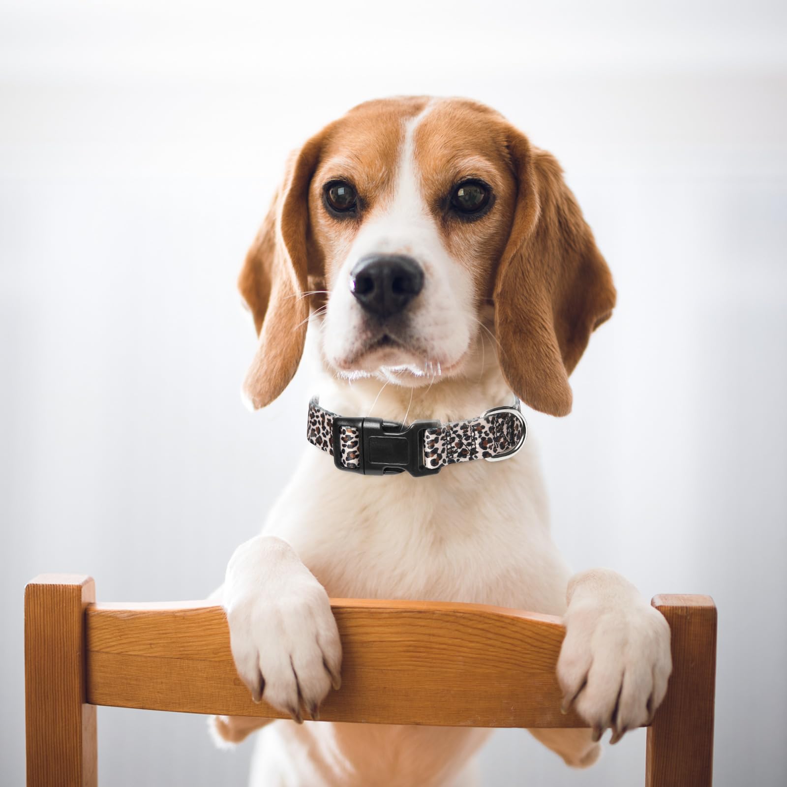 Leopard Dog Collar For Girl Boy Dogs, Adjustable Soft Male & Female Pet Collar For Xs Small Medium Large Dogs (Leopard Xs)