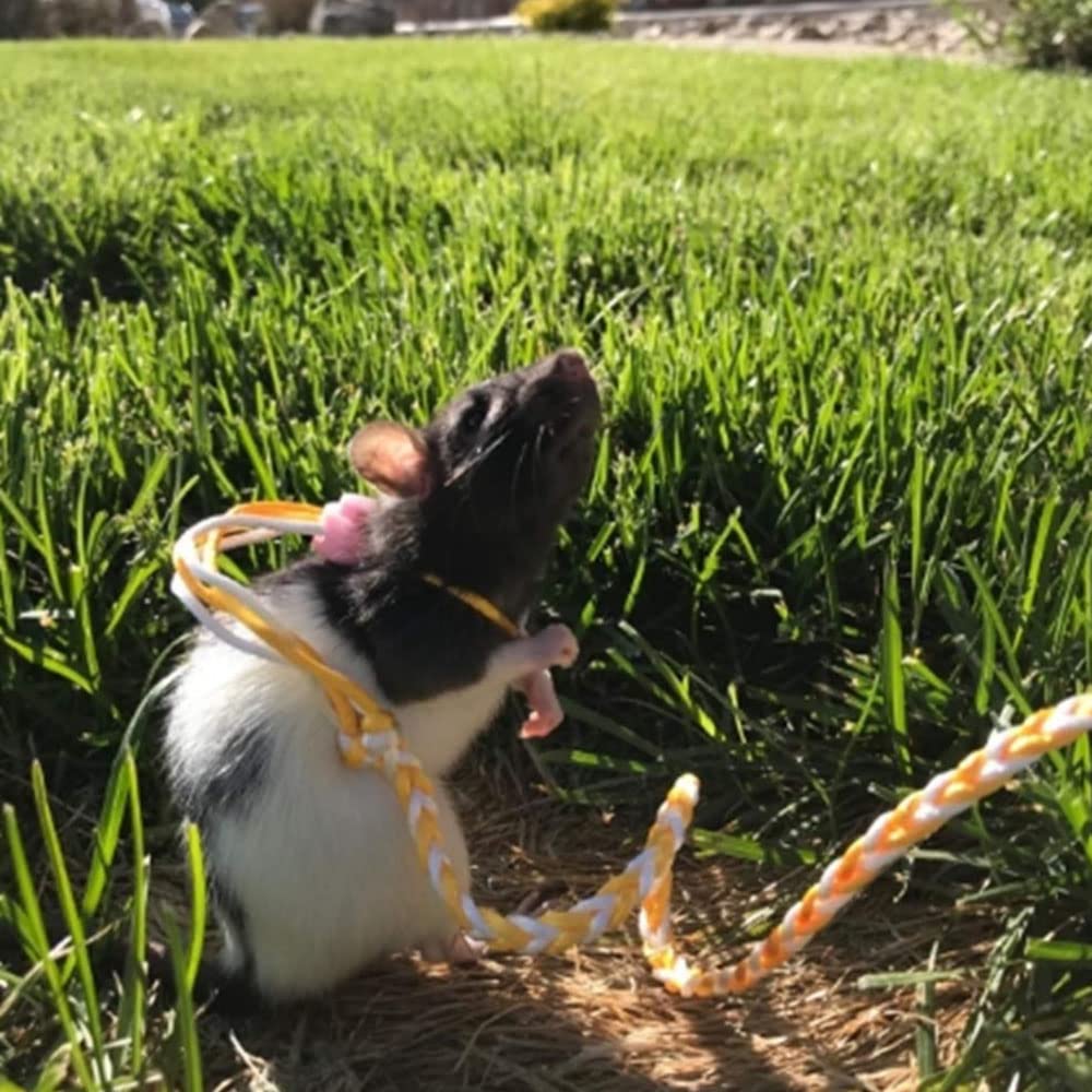 Adjustable Rat Leash Hamster Leash with Bell Harness for Ferret Mouse Squirrel Small Animal (Random)