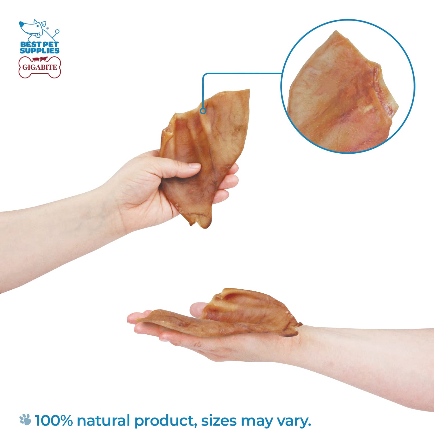 Best Pet Supplies GigaBite Roasted Pig Ears for Dogs - Natural Dog Chews, Roasted Pigs Ears, Safe for Puppies and Aggressive Che