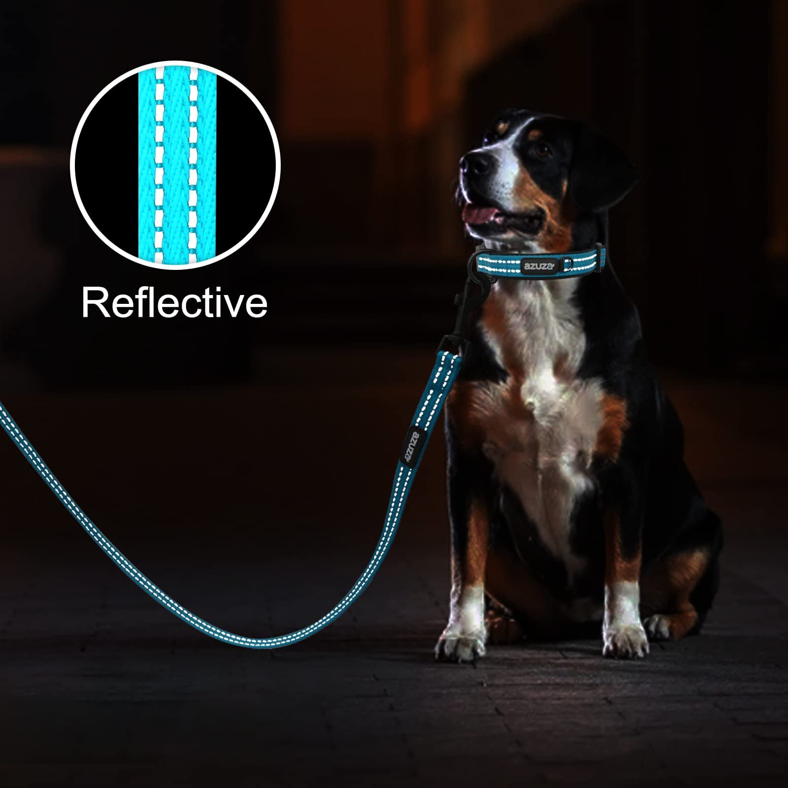 Azuza Reflective Dog Collar, Soft Neoprene Padded Pet Collar With Id Tag Ring, Adjustable For Small Dogs,Vitality Blue,M