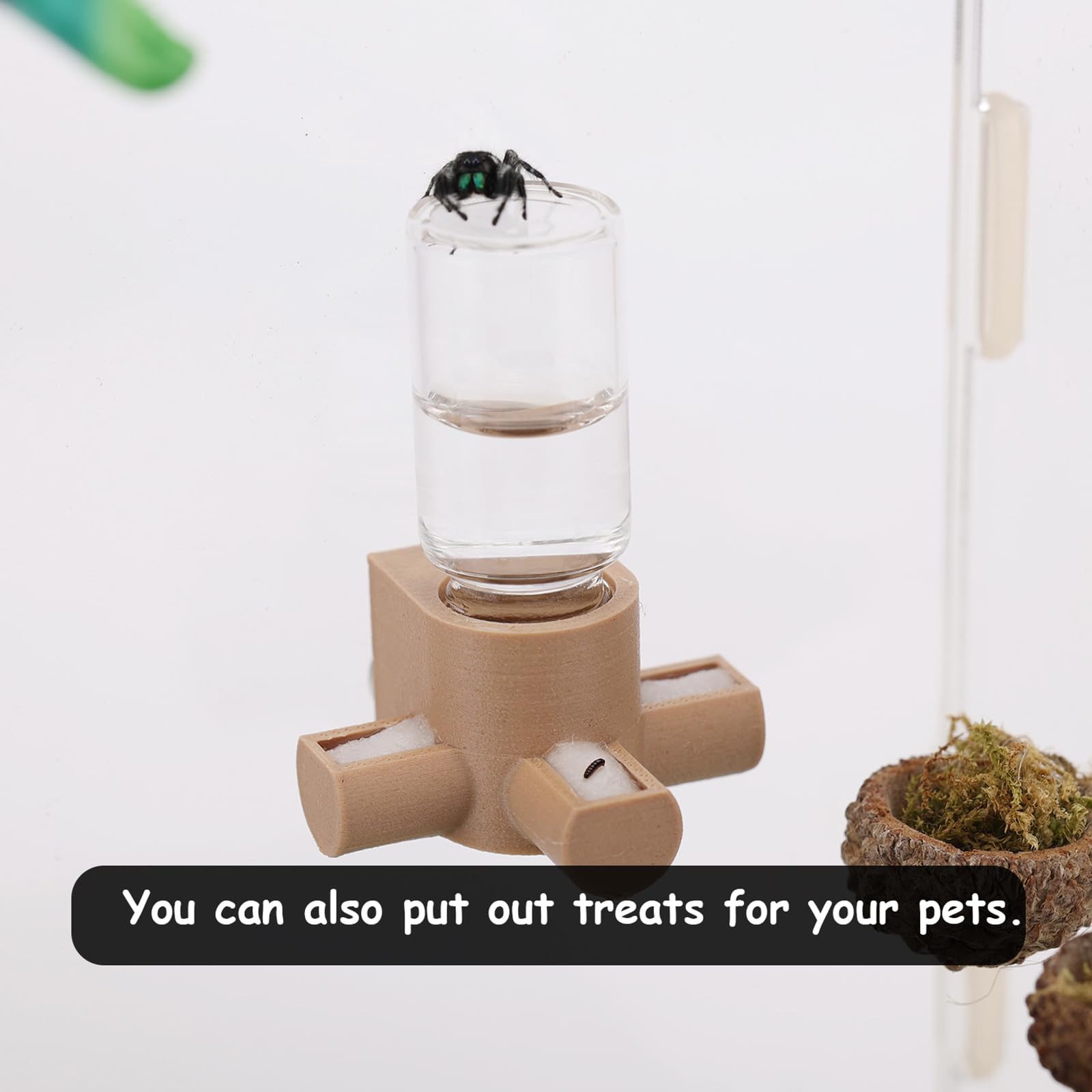Daerky Jumping Spider Water Dispenser, Magnetic Hanging Feeder,Suitable for Jumping Spiders,Tarantulas, Praying Mantises,Arborea