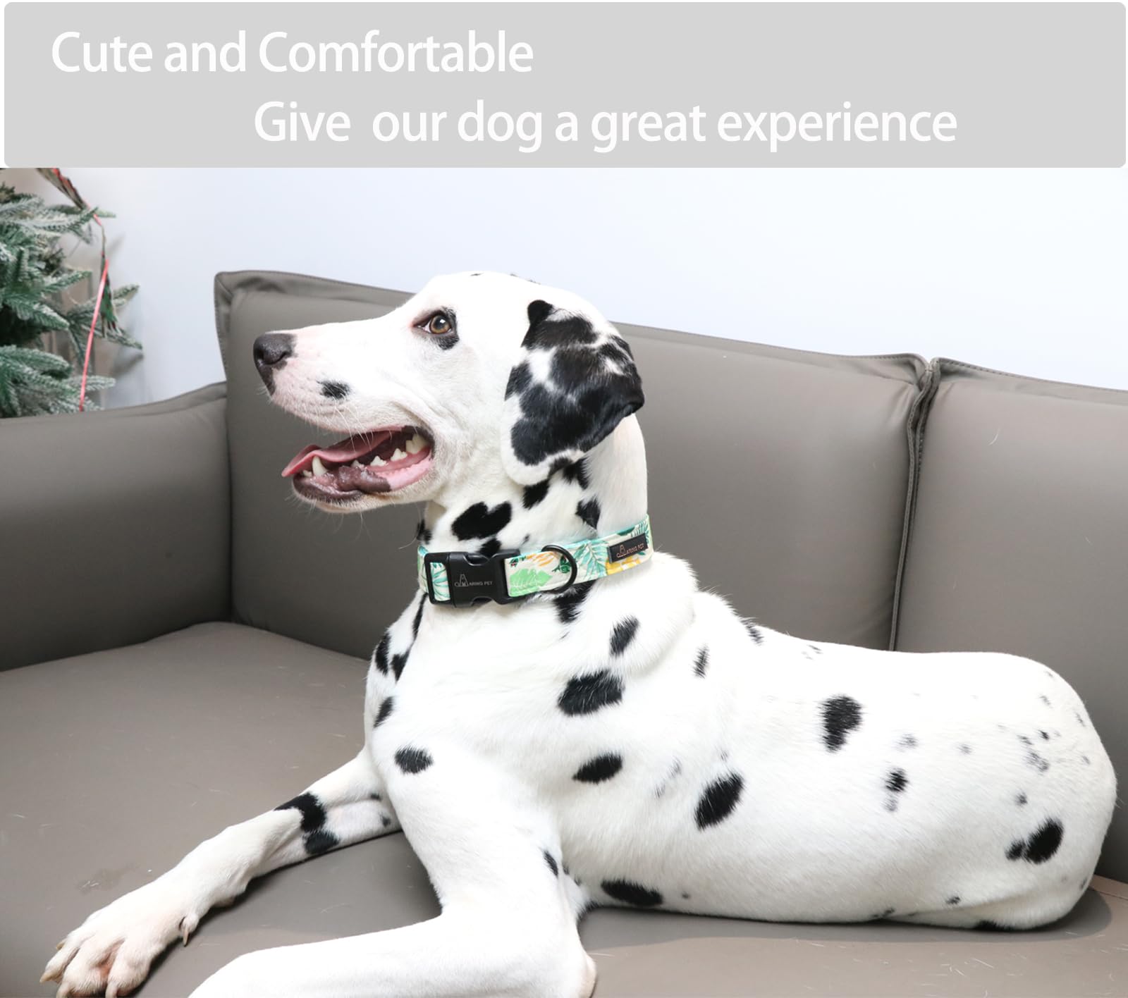 Aring Pet Summer Dog Collar-Cute Dog Collar For Small Dogs, Adjustable Comfortable Cotton Dog Collars For Small Medium Large Dogs, X-Small