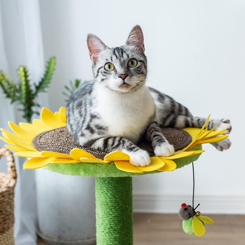 Catry 24' Sunflower Cat Scratching Post, Sunflower Small Cat Bed, 2 In 1 Natural Jute Scratching Pad And Bed With Cat Teaser Bee Toy