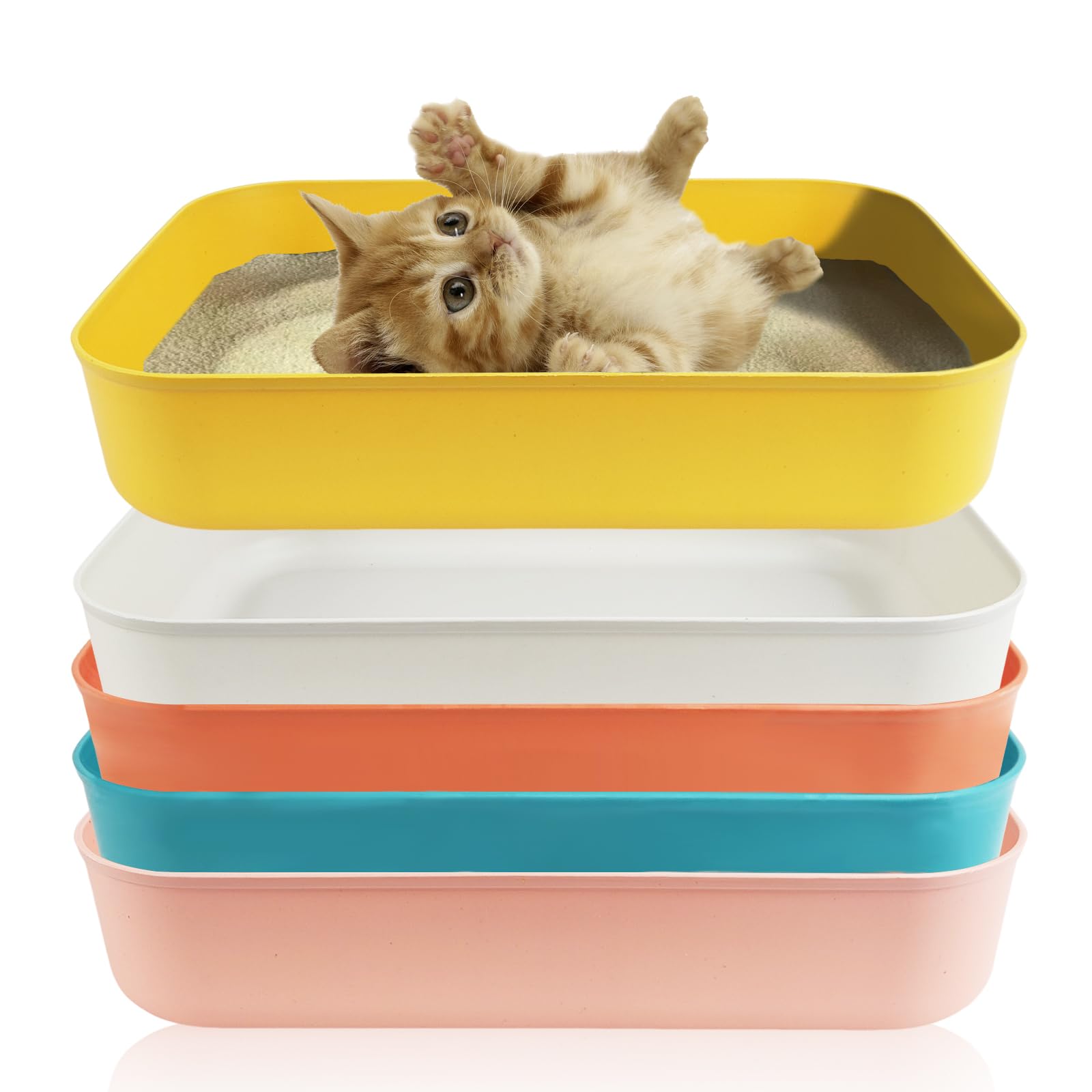 5Pcs Small Litter Box, Plastic Kitten Litter Box, 13.9 X 9.8 X 3 Inch Open Litter Box For Small Pet, Easy To Clean (5 Color)