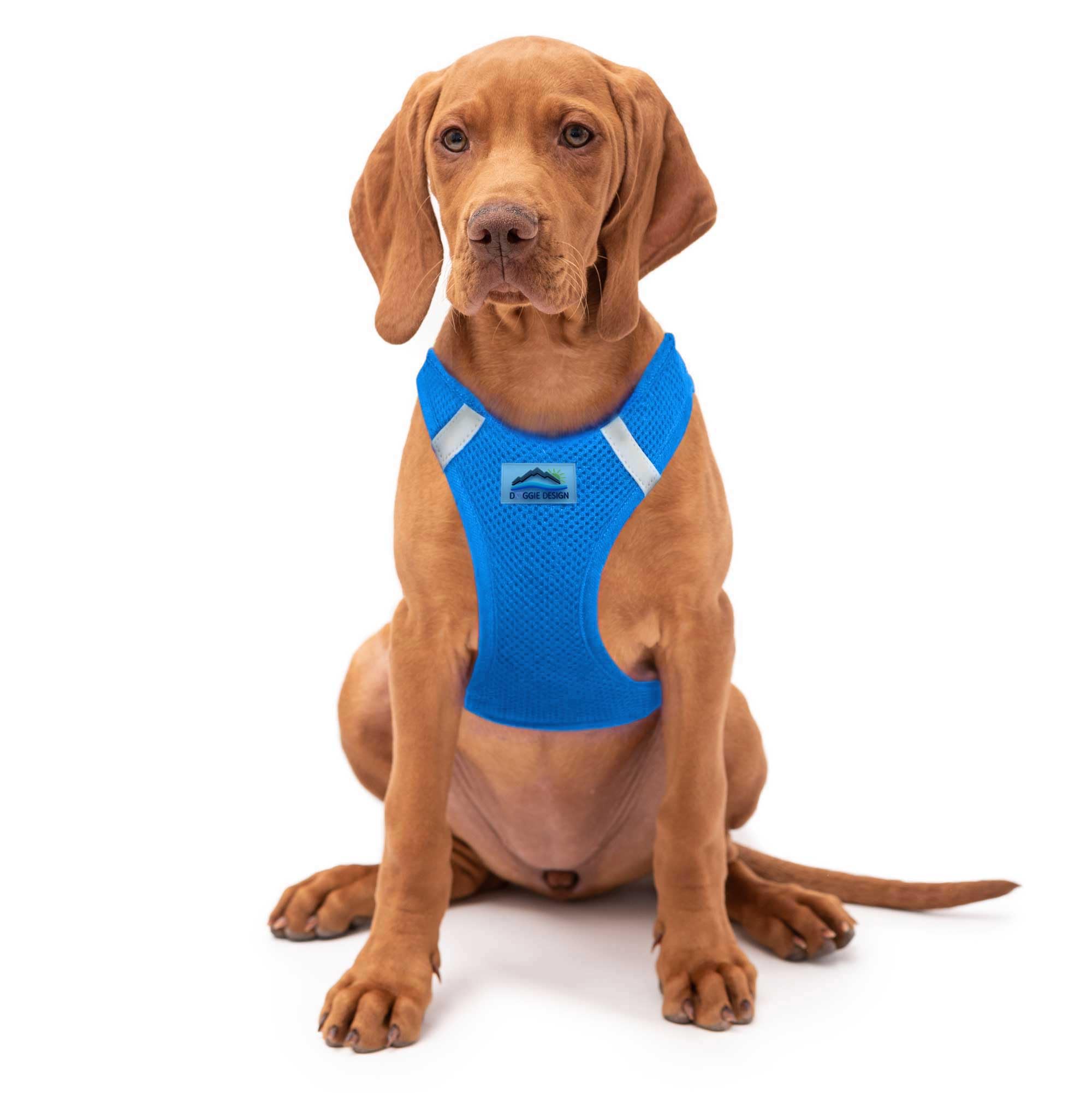 Doggie Design Dog Harness - No Choke Dog Harness, Dog Vest, Mesh Polyester, Pet Harness, Simple Design, Harness For Dog - Cobalt