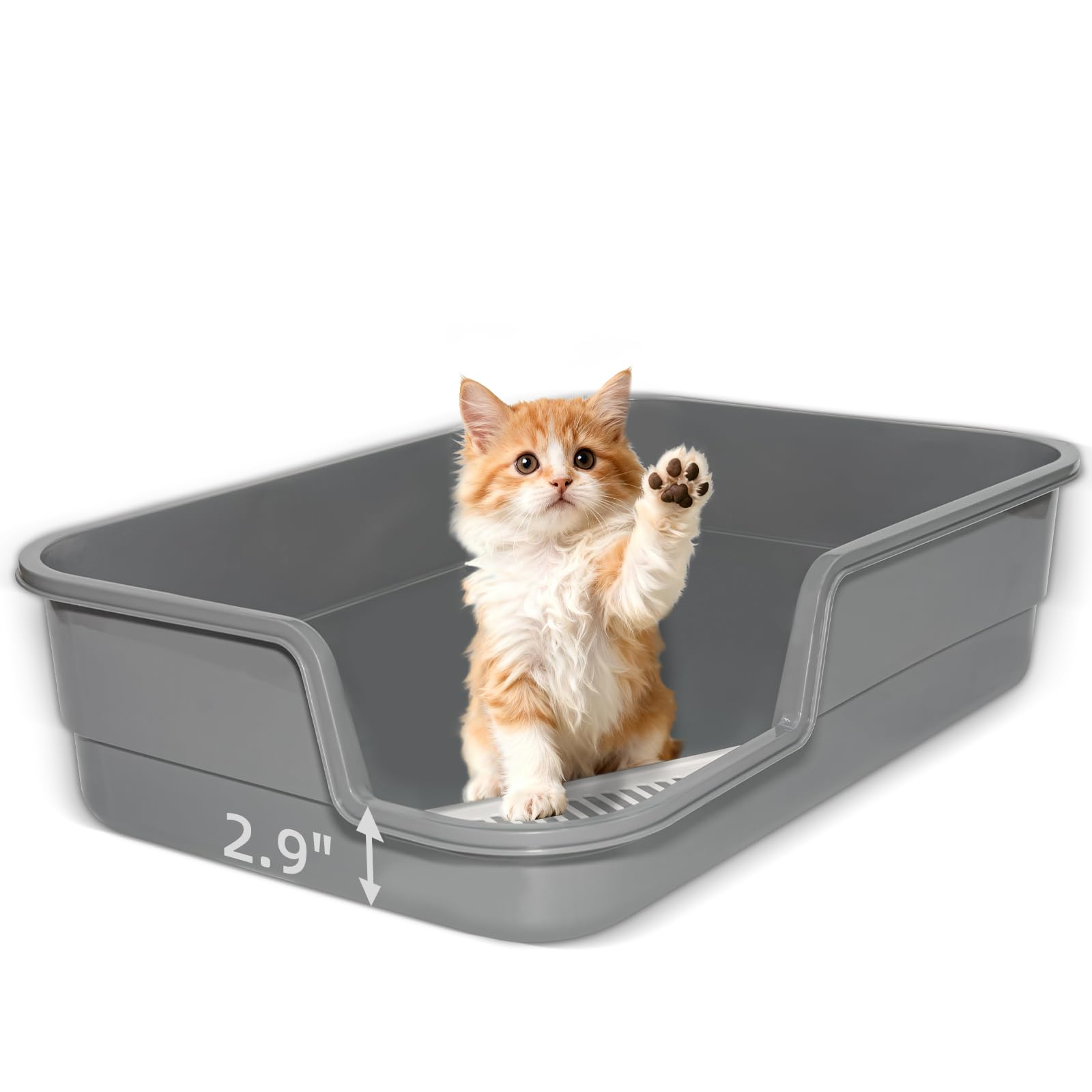 TAILRYTH Extra Large Litter Box with Low Entry,Jumbo Cat Litter Box for Kitty and Senior Cats,Cat Box for Indoor Cats,Open Top C