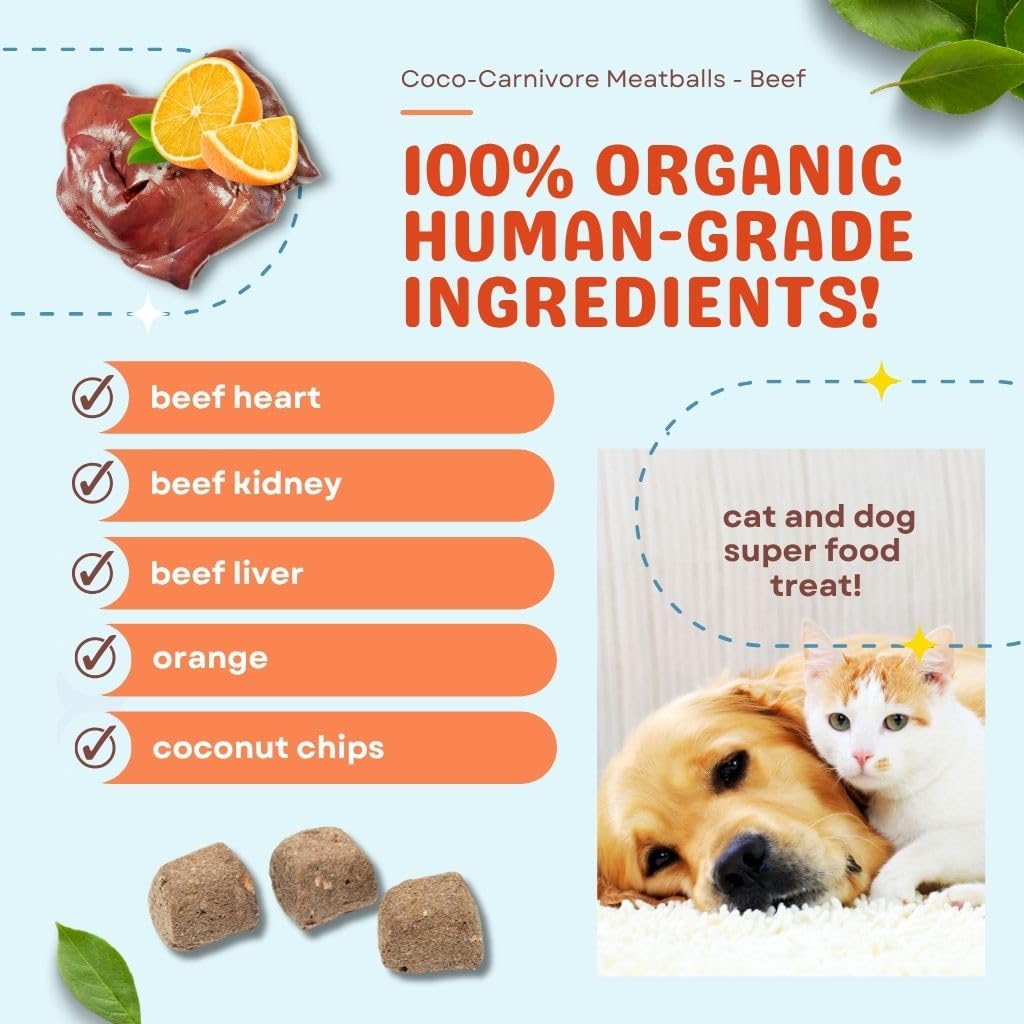CocoTherapy 3 Pack of Coco-Canivore Meatballs Dog Treats, Beef, Chicken, Turkey (Variety)