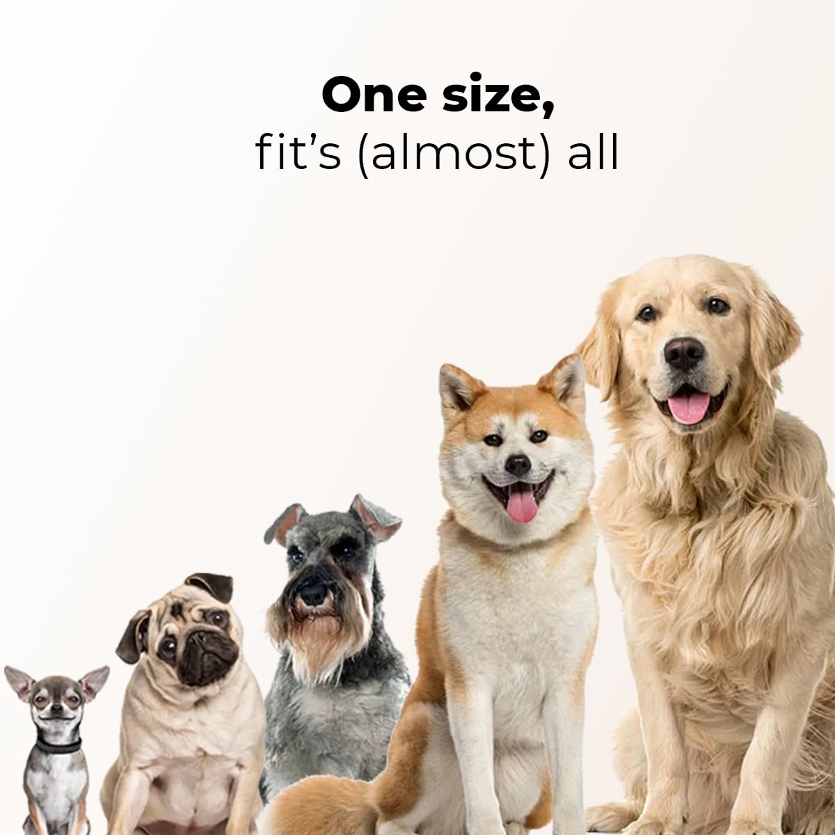 Autosky Pets Smart Anti-Barking Collar - Training Collar With 5 Adjustable Sensitivity Beep Vibration Shock, Bark Collar For Lar