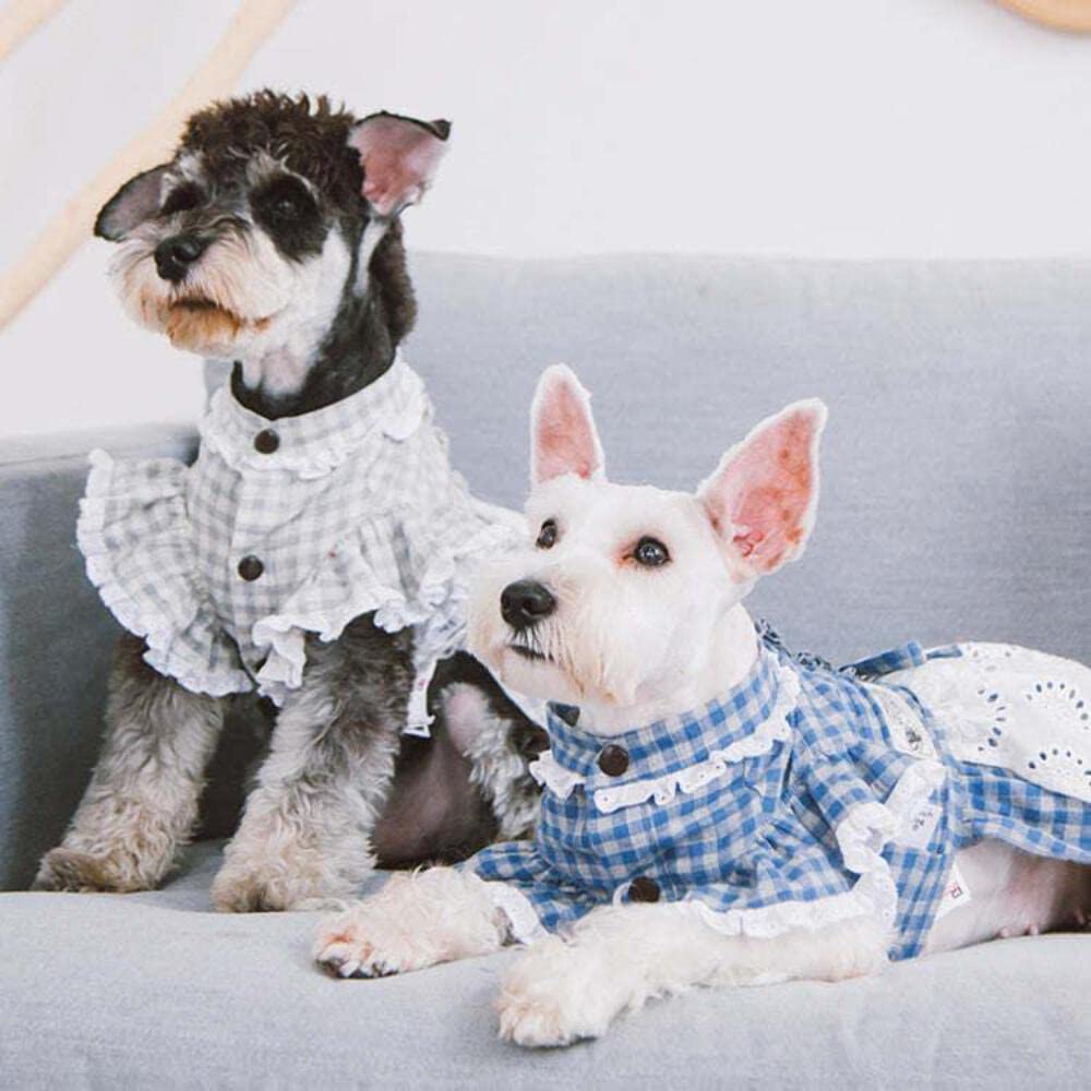 Touchdog 'I Love Poochi' Classical Fashion Plaid Dog Dress