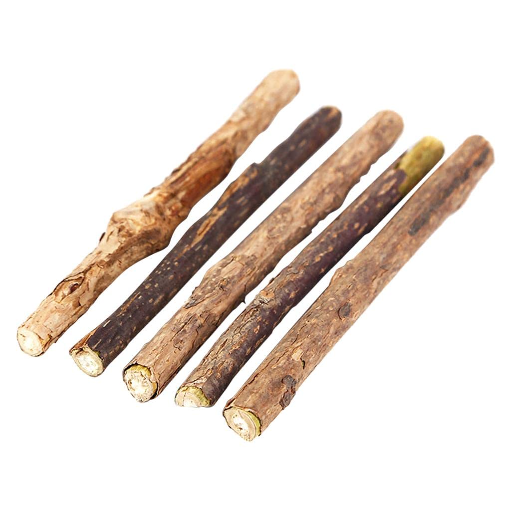 Zoomella 5Pcs Catnip Silvervine Sticks Natural Toothpaste Actinidia Polygama Cat Toy