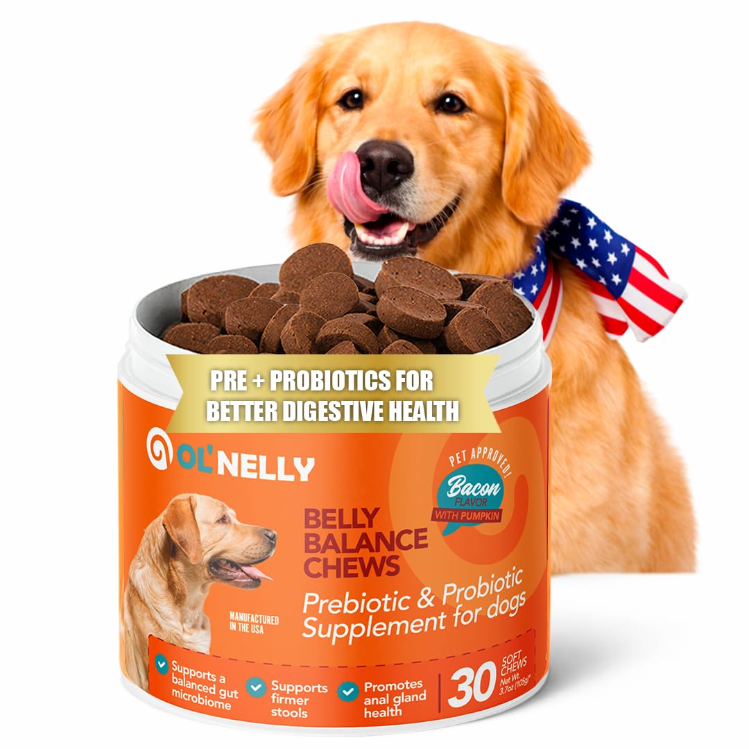 OL'Nelly Dog Probiotic Chews, 5.4 Billion CFU, 6 Strains, Pumpkin, Inulin & Yucca Root, Digestive Health Supplement for Dogs, Su