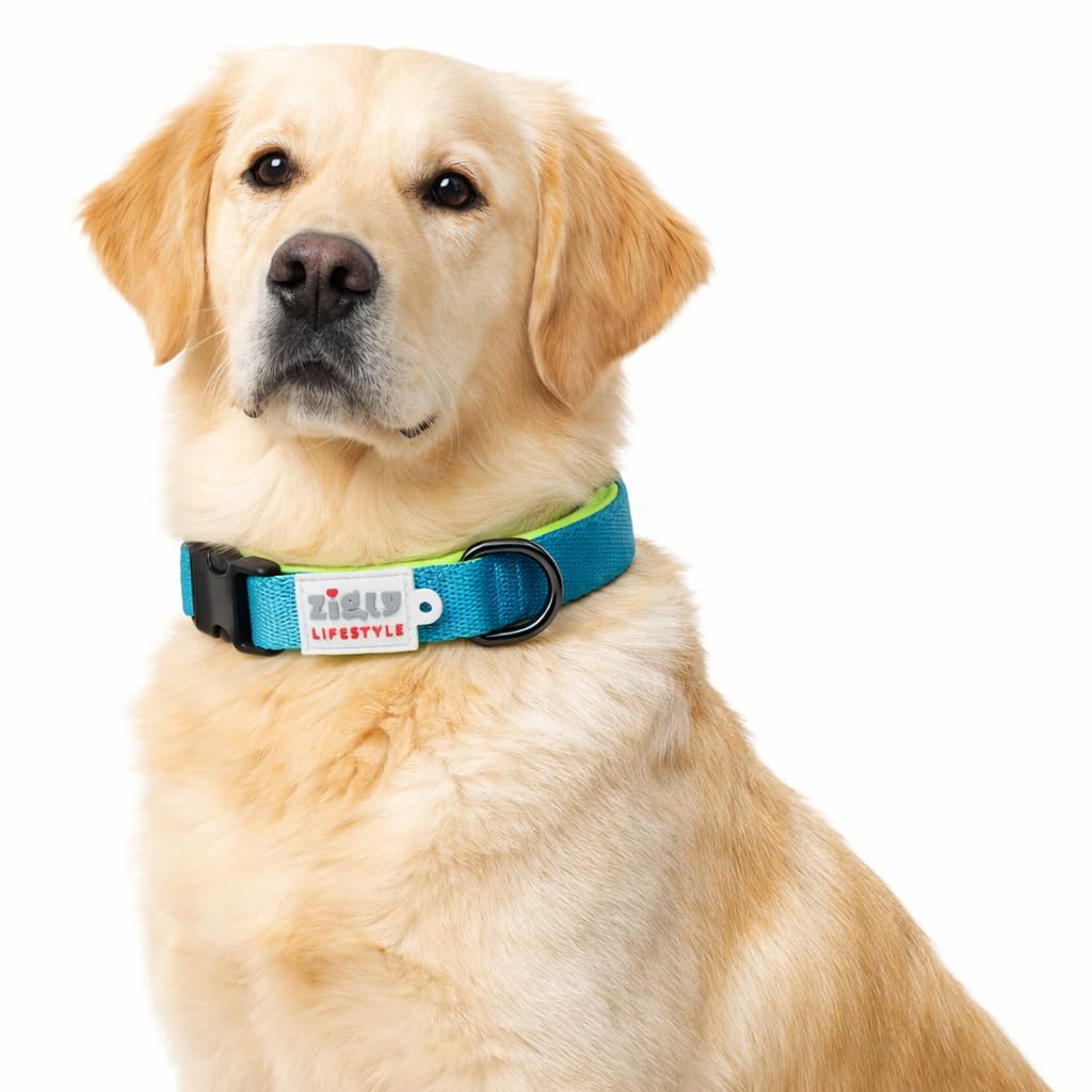 Zigly Lifestyle Classic Adjustable Padded Nylon Dog Collar For Pets | Soft Comfortable Everyday Walking Neck Collar For Puppies 