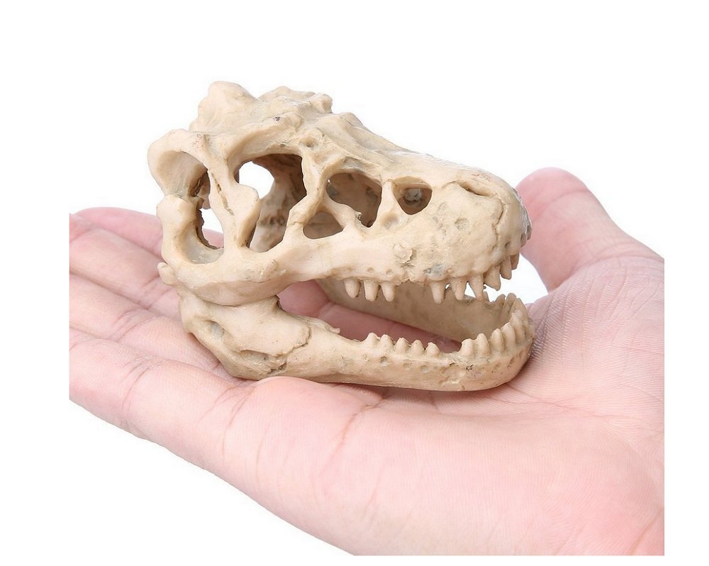 Aquarium Decoration Skeleton Hole Resin Artificial Dinosaur Skull Skeleton Ornament - Fish Tank Small Skull Aquarium Decorations Cave Landscape Pet Reptile House
