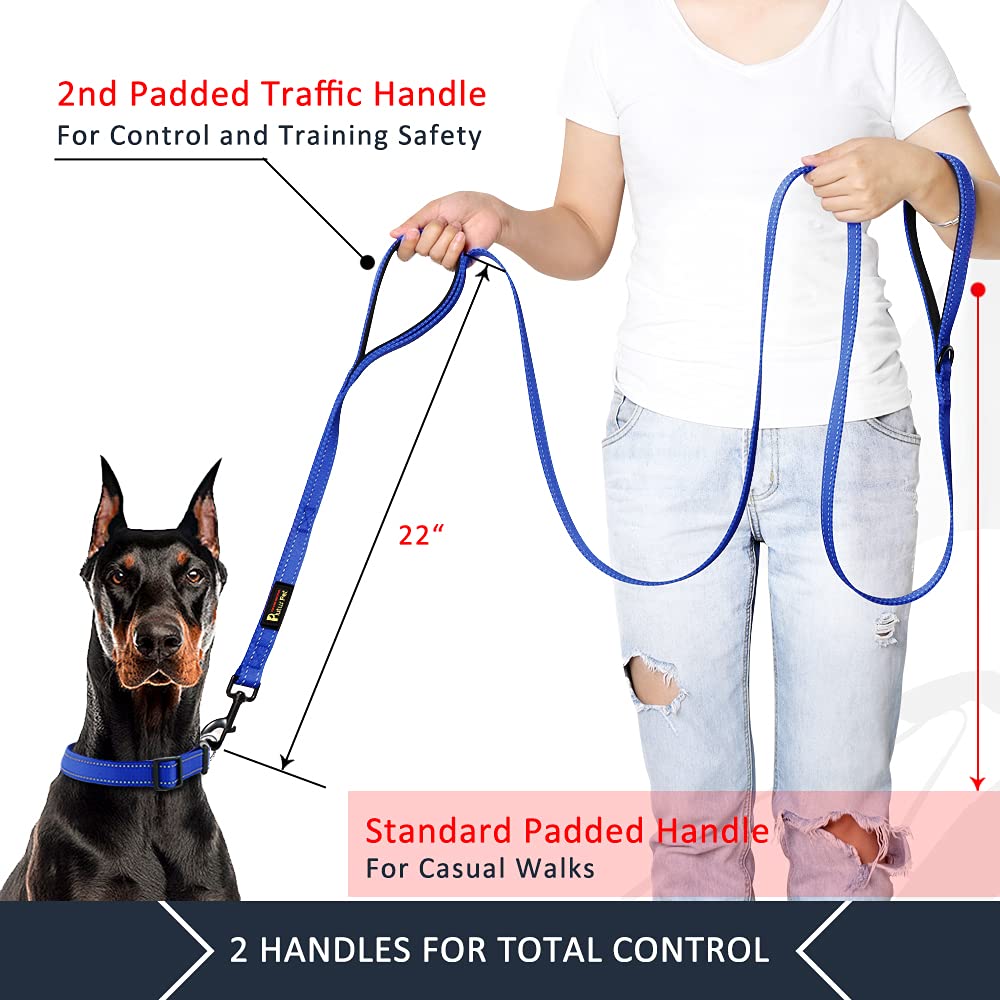 Plutus Pet Dog Leash 6Ft Long,Traffic Padded Two Handle,Heavy Duty,Reflective Double Handles Lead For Control Safety Training,Le