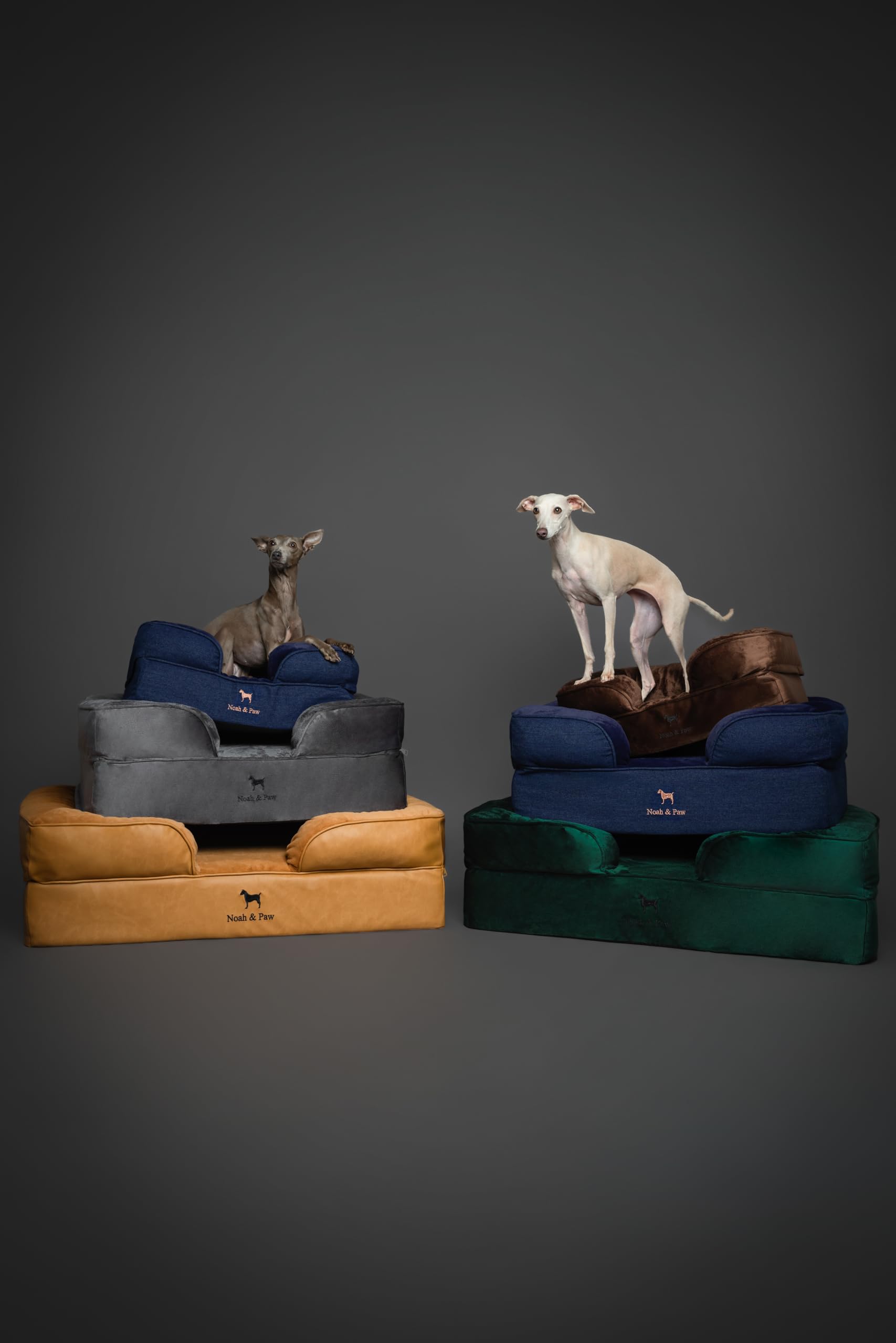 NOAH & PAW Dog Bed, 28x23x11 Inch, Orthopedic Dog Beds for Medium Size Pets, Eggshell Memory Foam Infused with Cooling Gel, Inne