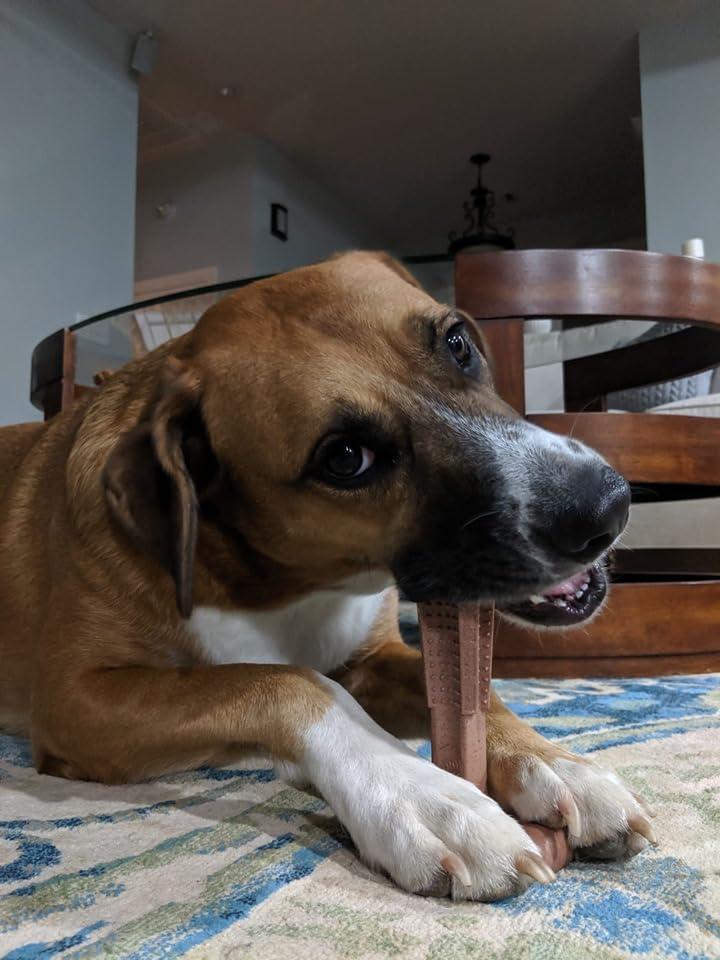 Spot Bam-Bones Plus T Bone - Bamboo Fiber & Nylon, Durable Long Lasting Dog Chew For Aggressive Chewers – Toy For Dogs & Puppies Under 90Lbs, Non-Splintering, 7In, Allergen Free Peanut Butter Flavor